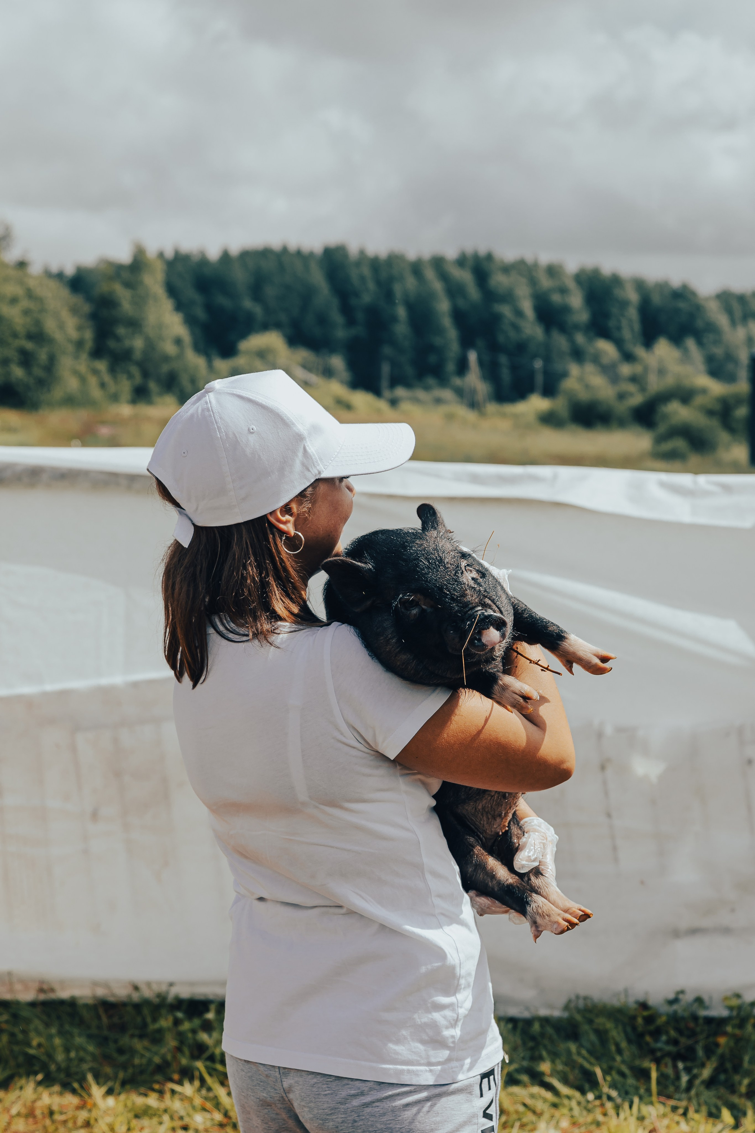 КОРПОРАТИВ ЛЕТНИЙ. Главная