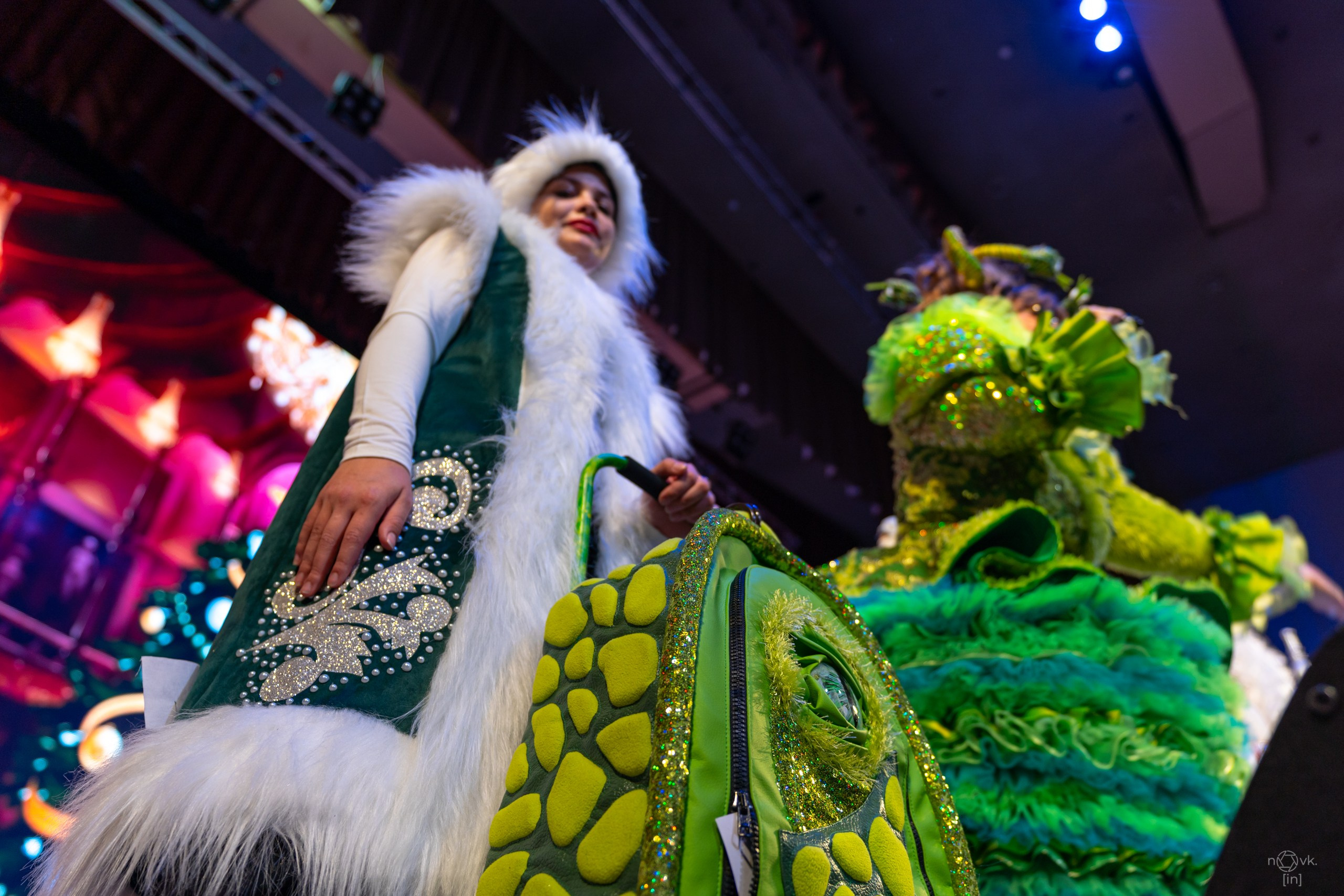 Ёлка. ФОТОГРАФ ИВАН НОВИКОВ | СТАВРОПОЛЬ