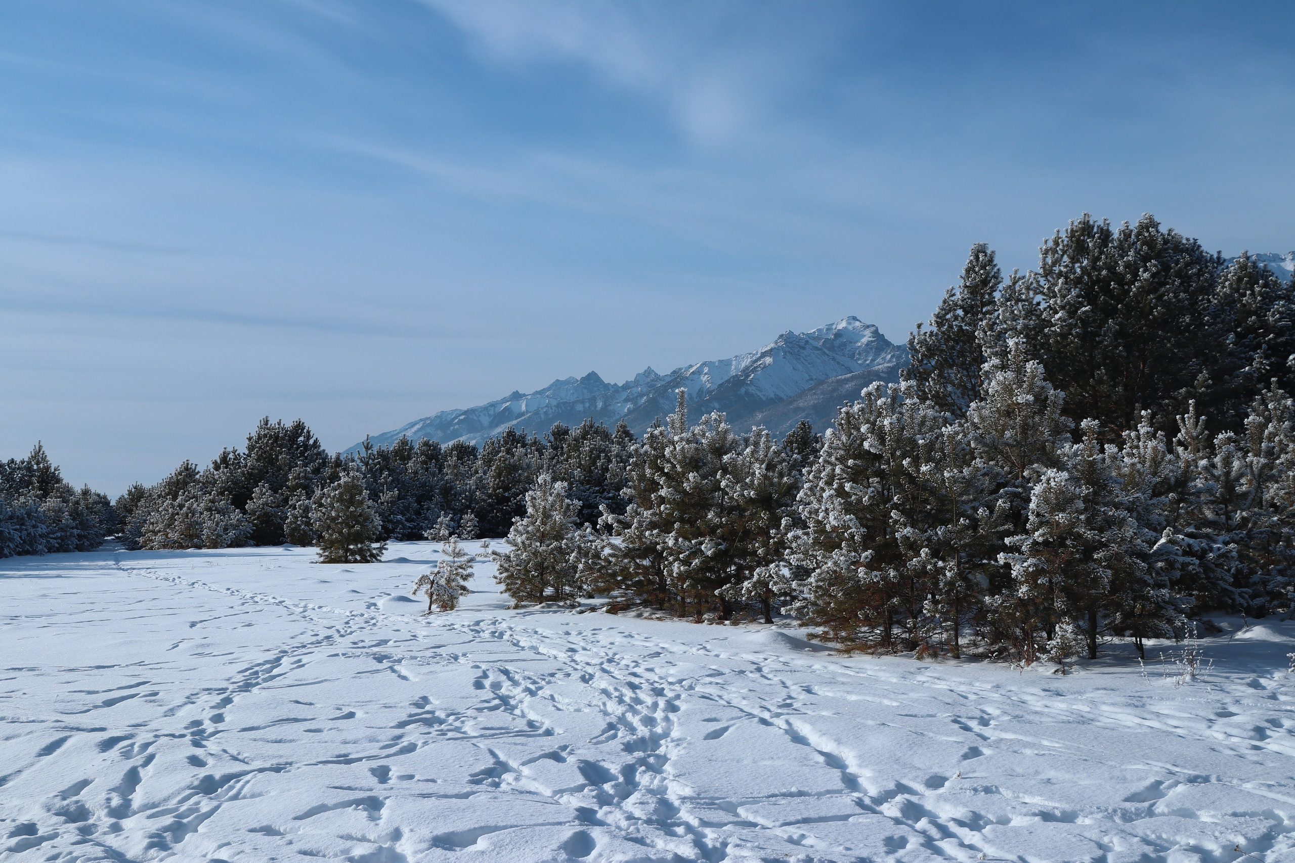 Аршан. Январь 2024. Путешественник-фотограф из Санкт-Петербурга Татьяна Свистулина
