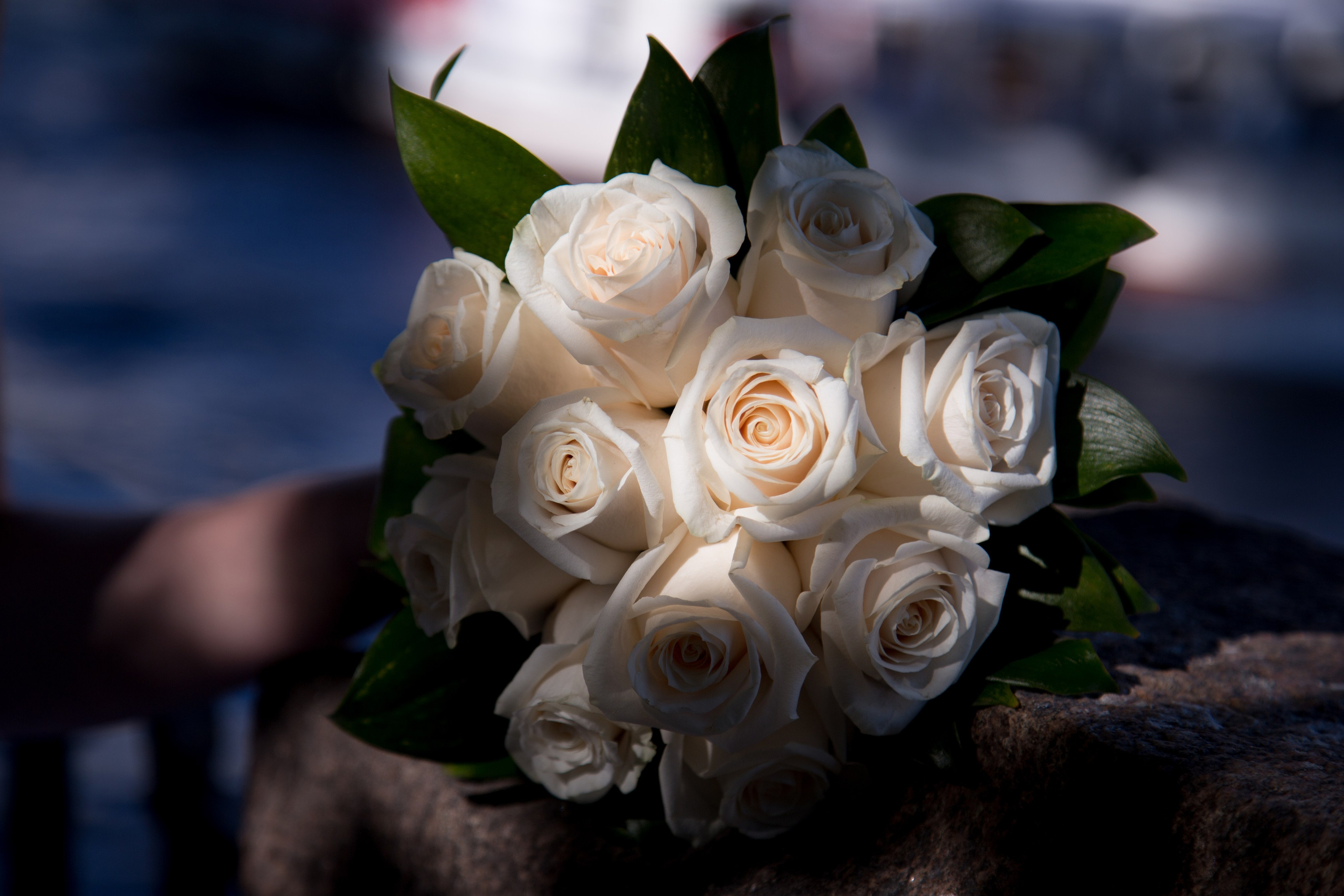 Алёна и Сергей. Свадебный фотограф в Санкт-Петербурге Трофимова Алена