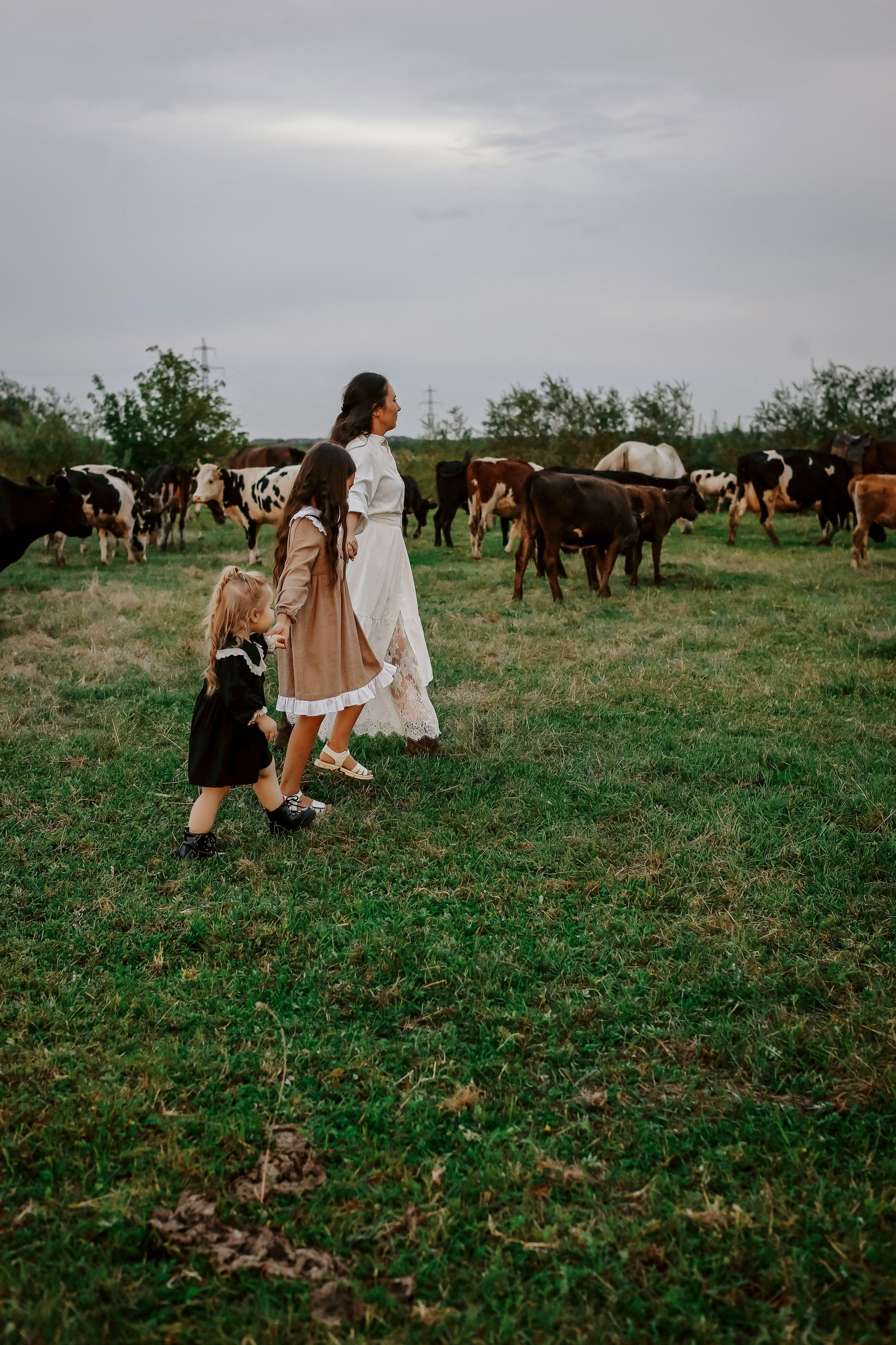 Альбом10. Семейный фотограф Анна Мезенцева