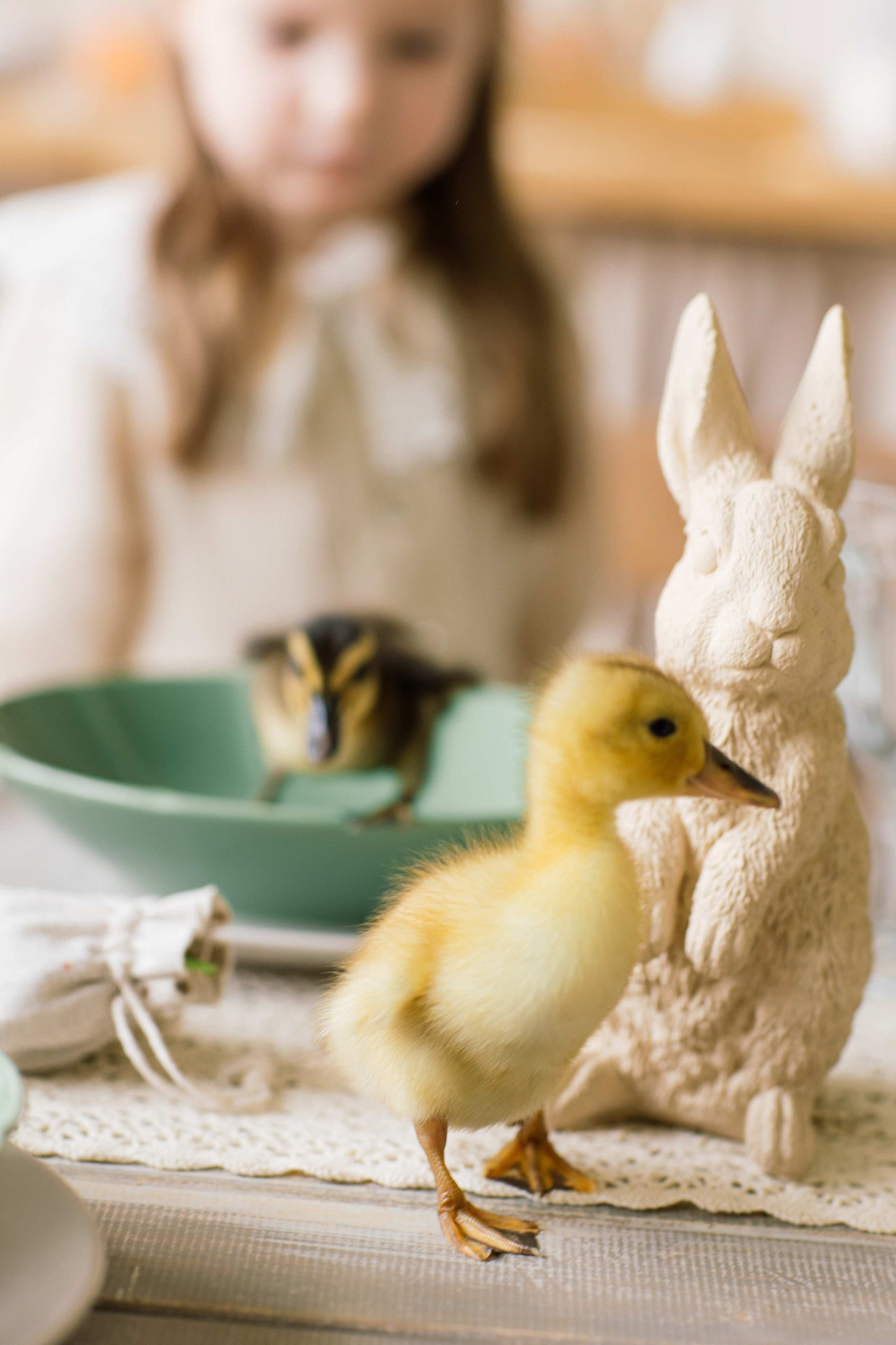 Варя и Мира фотосессия к Пасхе. Семейный фотограф Толстикова Кристина