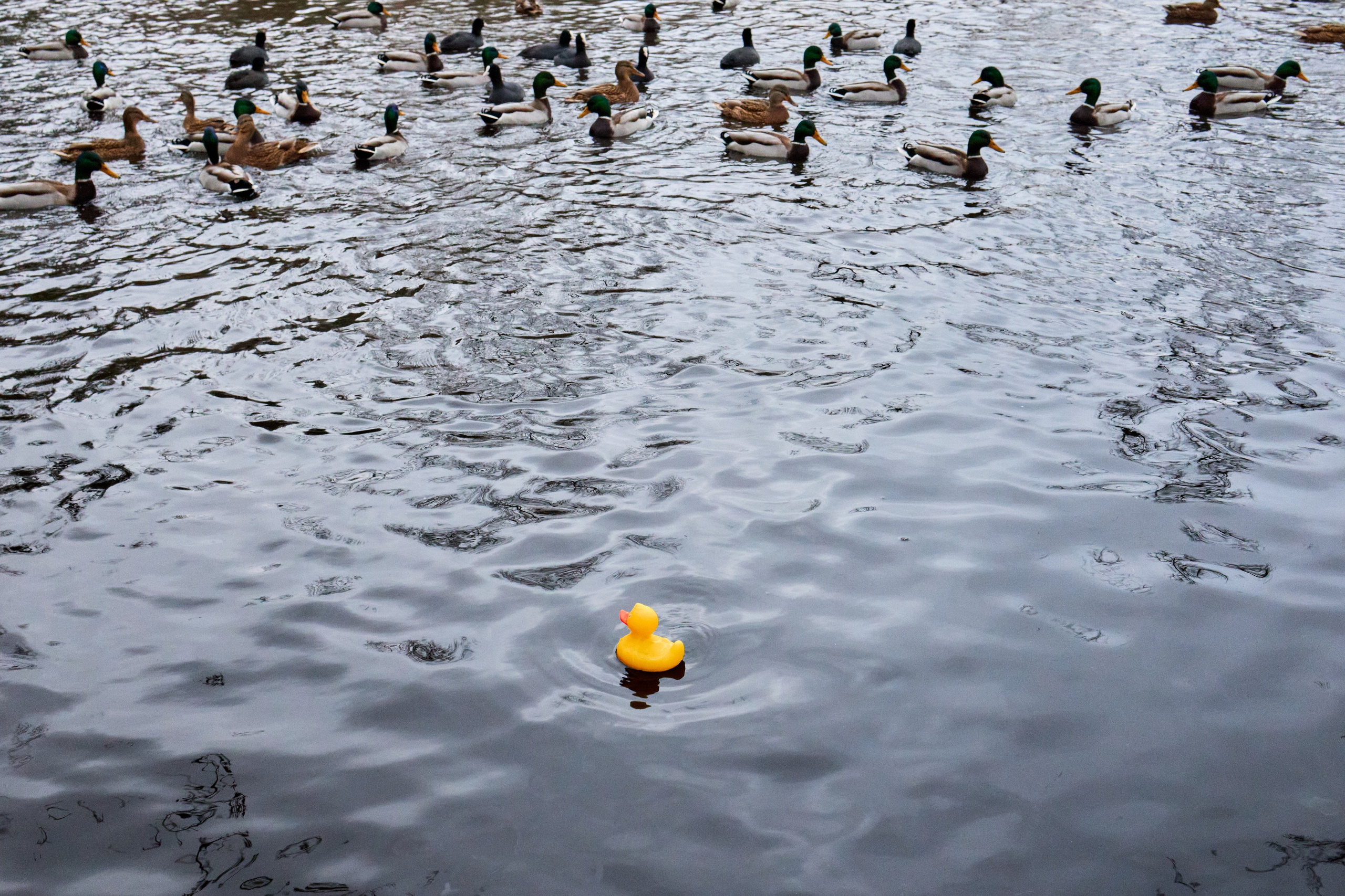 ph: Михаил Шабунаев