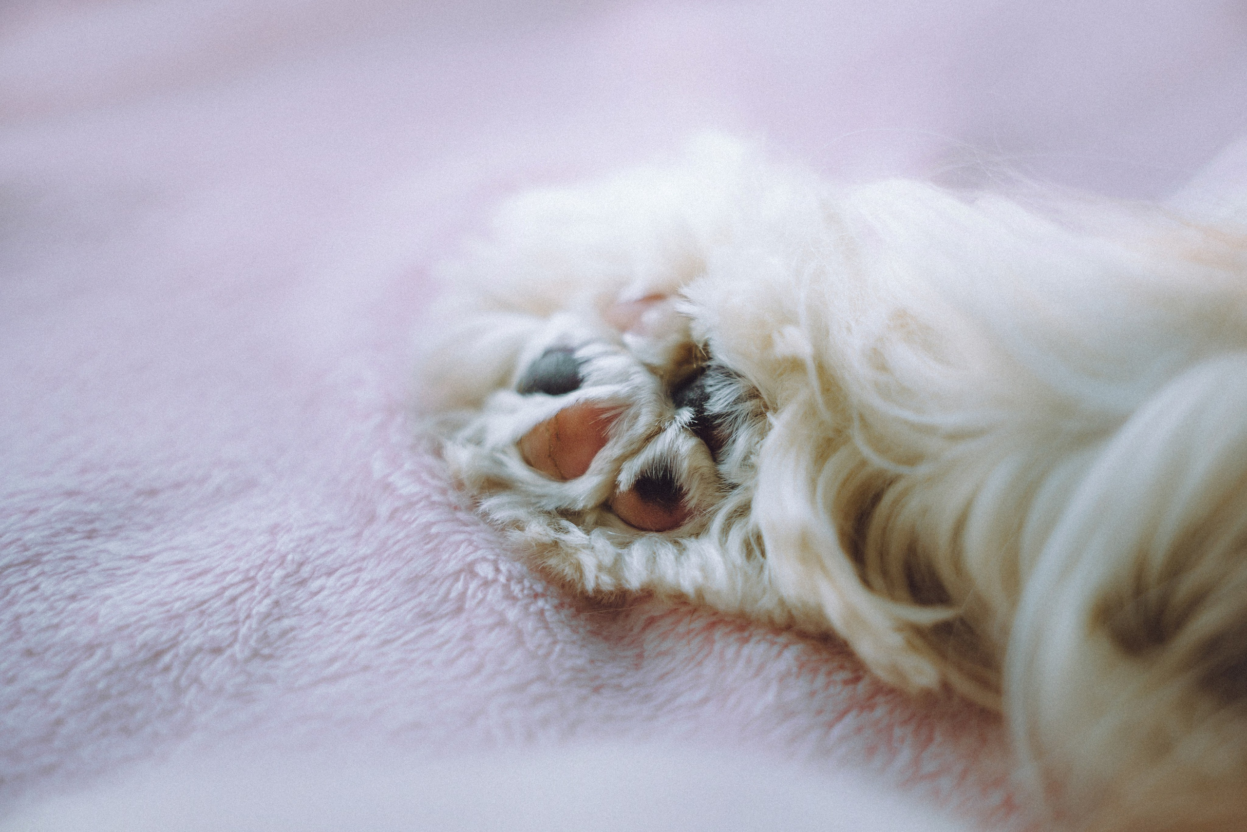 Наташа и Вики