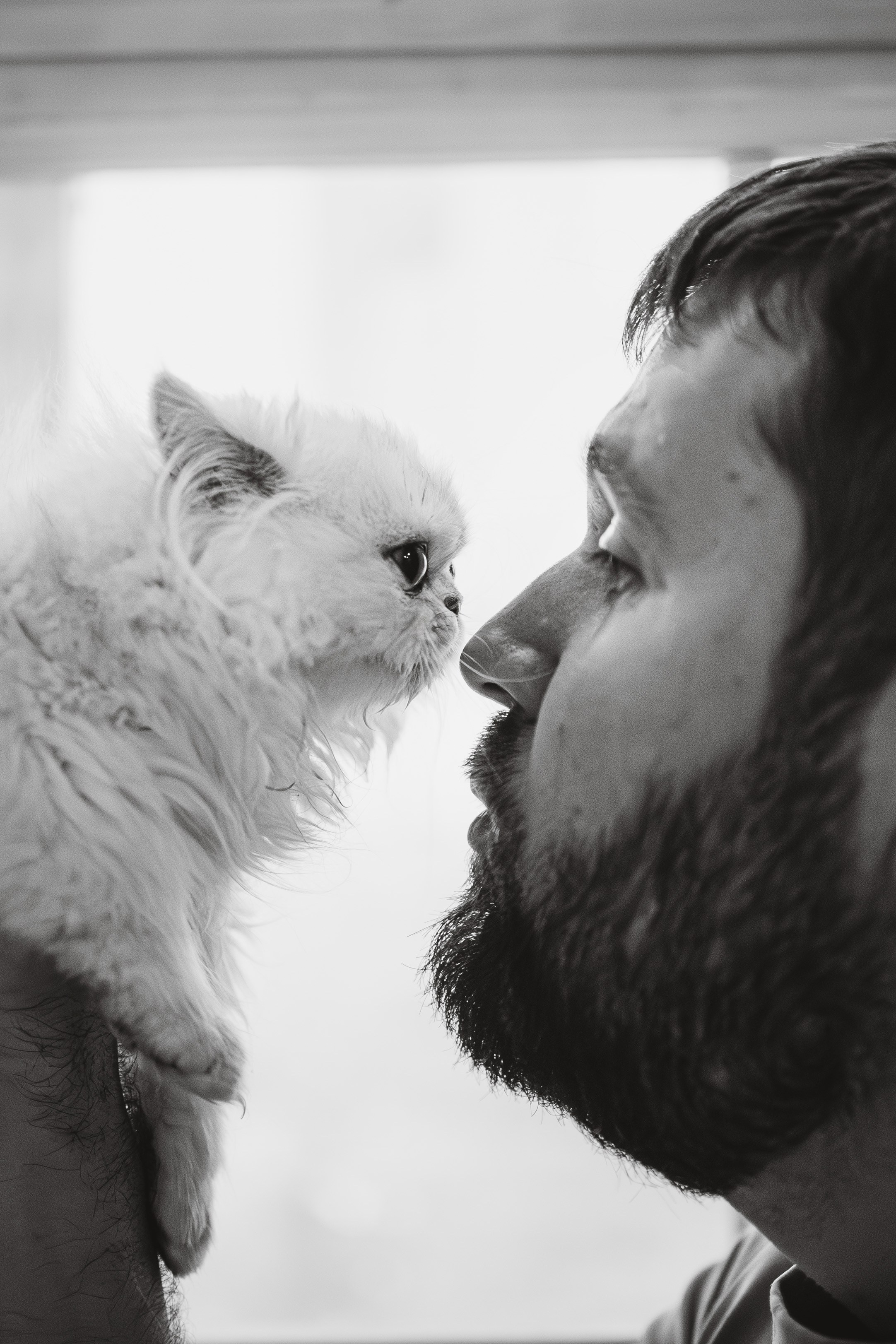 Султан, Мэй Мэй и Шанталь и их семья