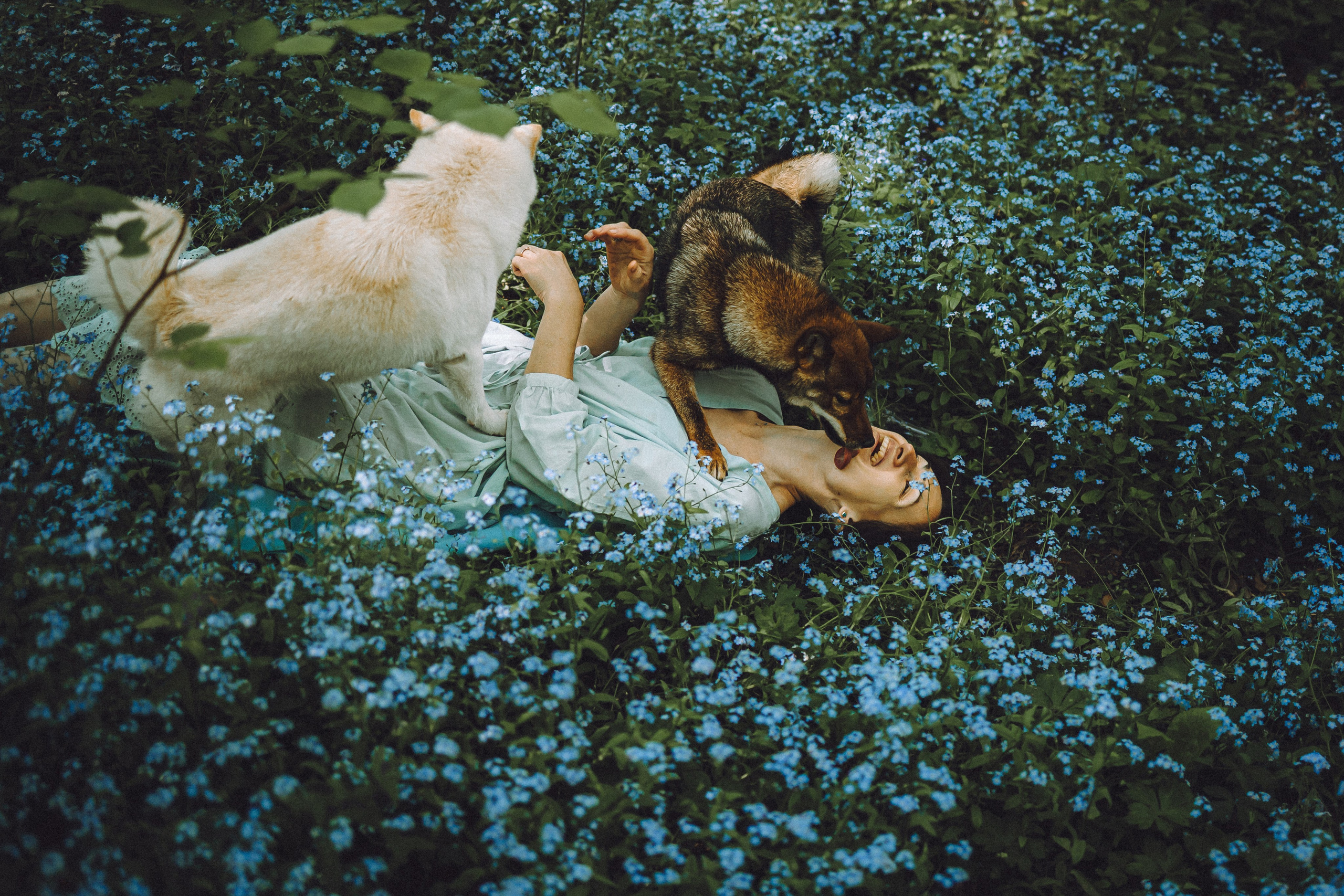 Шед, Цири, Чиби, Цера и их семья