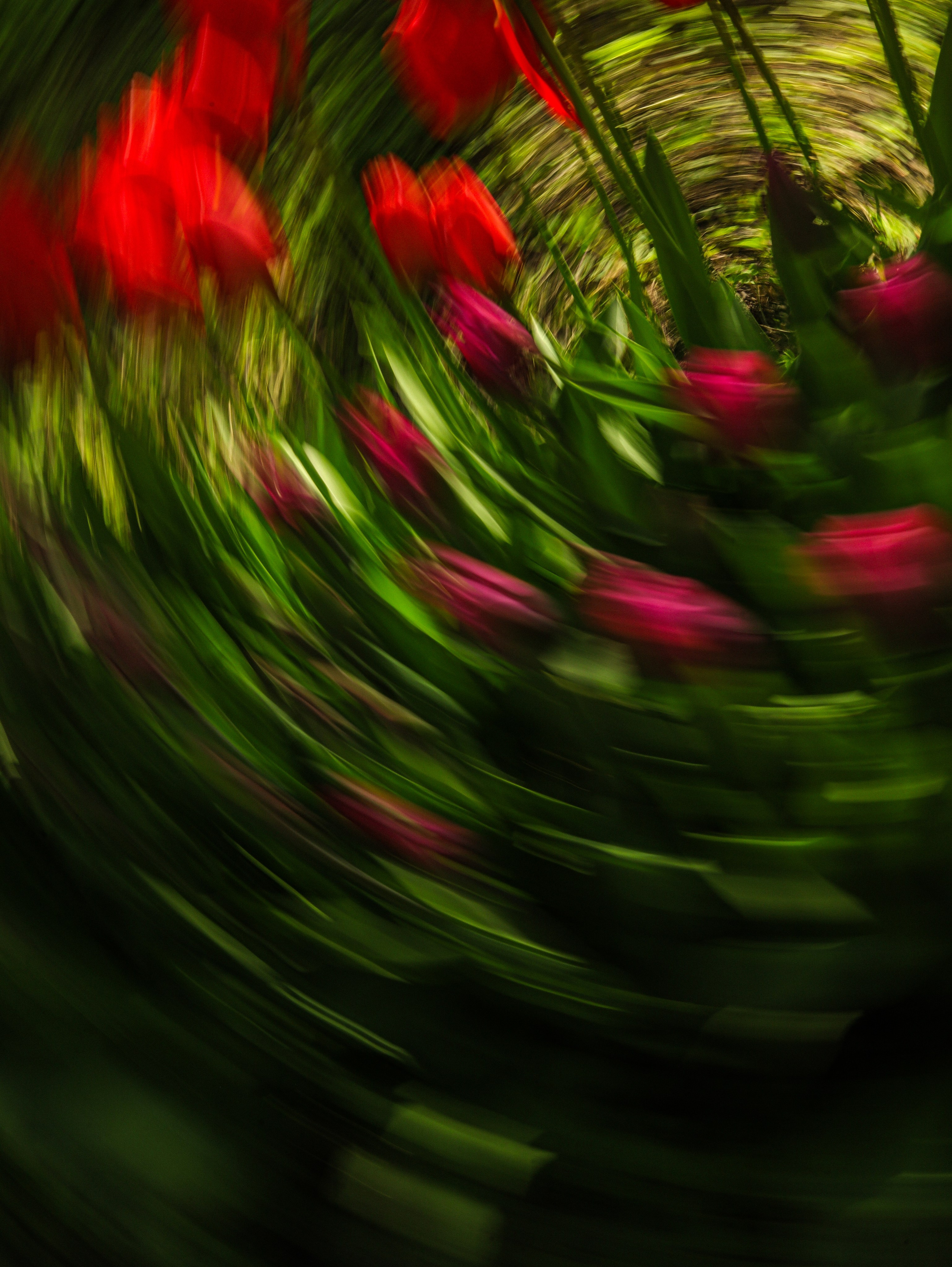 Природа &. Фотохудожник в СПб