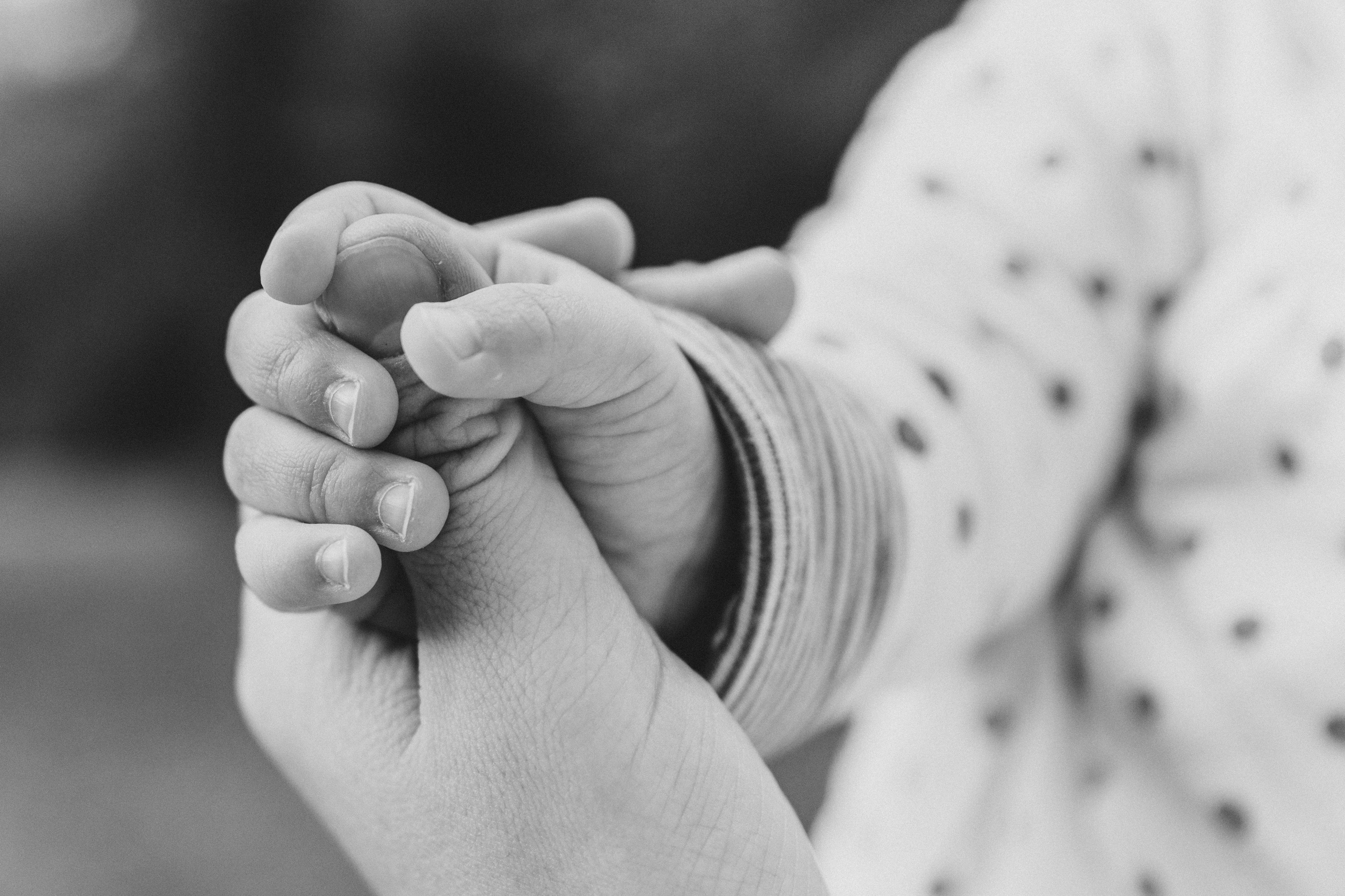 Аня, Вера, Кира и мама. Фотограф-анималист в Москве Соломонова Варвара