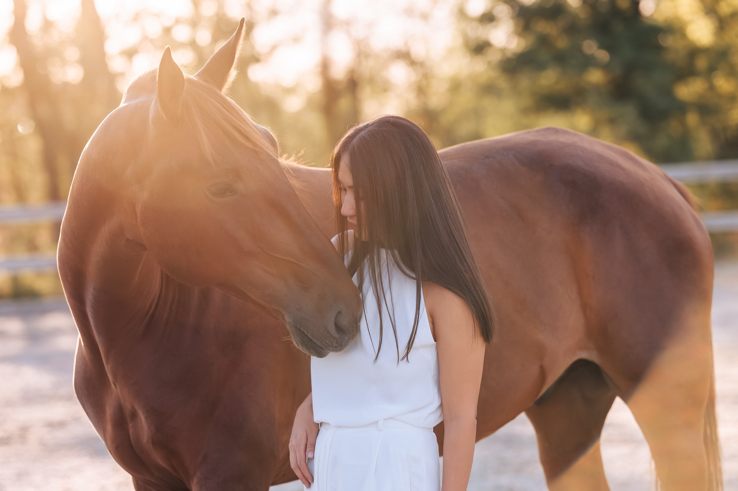 Фотограф в Ростове —на — Дону