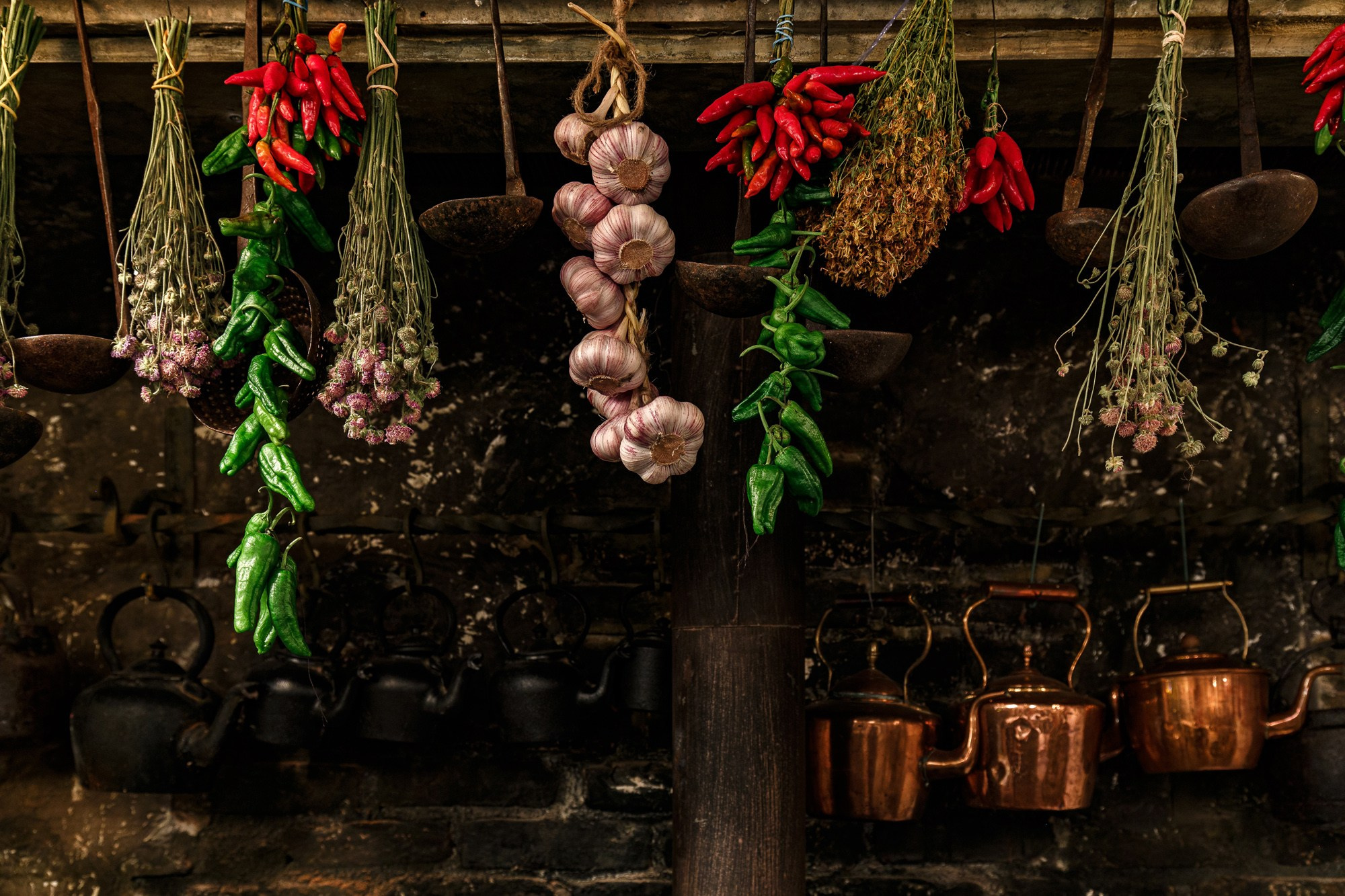 Black Swan. Photographer Ksenia Kolesnikova. Interior, Product, and Portrait Photography in Moscow