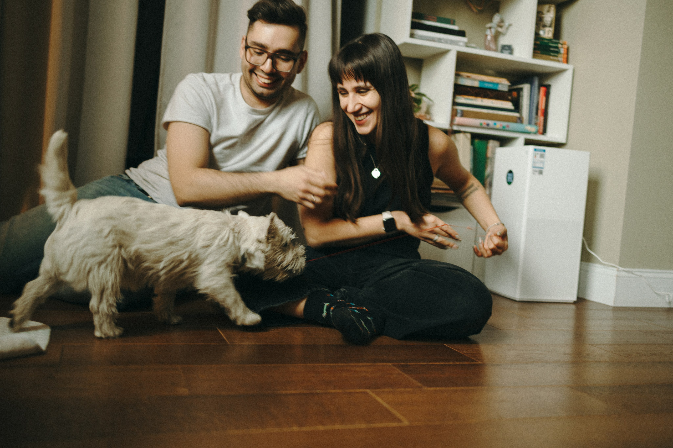 Снежуля, Мари и Саша. Фотограф анималист Анастасия Пикей