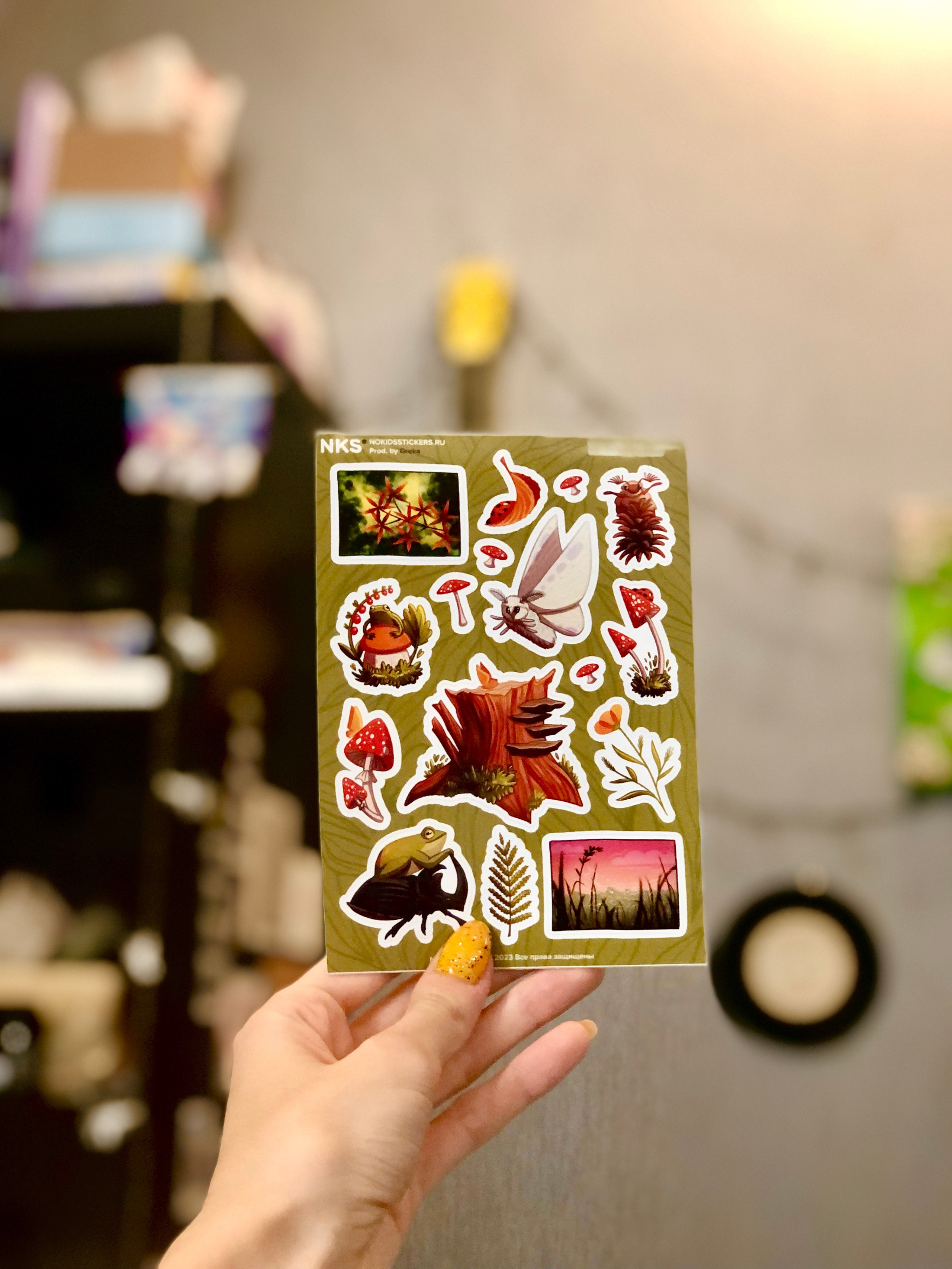 Ноябрь. Семейный, Свадебный фотограф СПБ Питер— Романова Екатерина