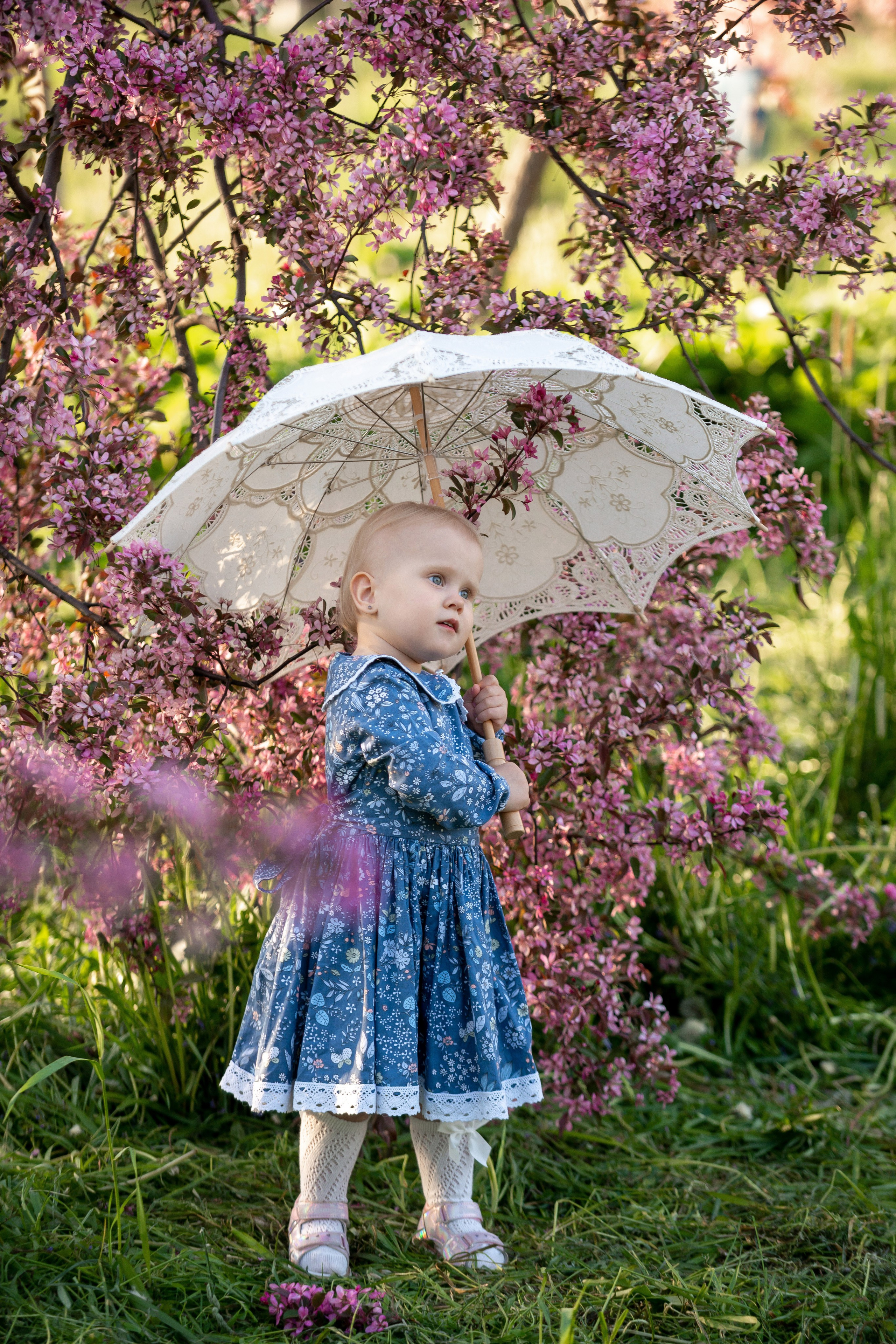 Ника и родители в розовых яблонях. Портретный, семейный и свадебный фотограф в Санкт-Петербурге и в Пушкине Ширяев Денис