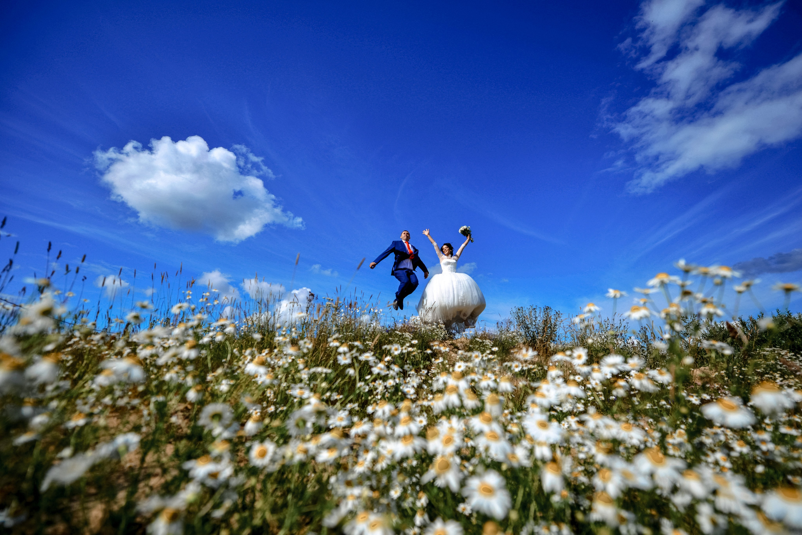 Прыжок в голубое небо и облака над ромашковым полем невероятных жениха и невесты на необычной свадебной прогулке.