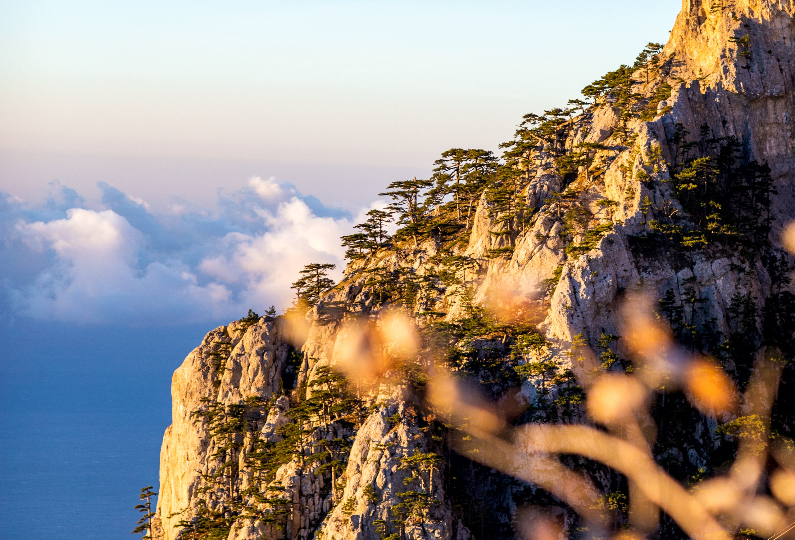 АЙ-ПЕТРИ. Фотограф Севастополь/Крым Светлана Евтушенко