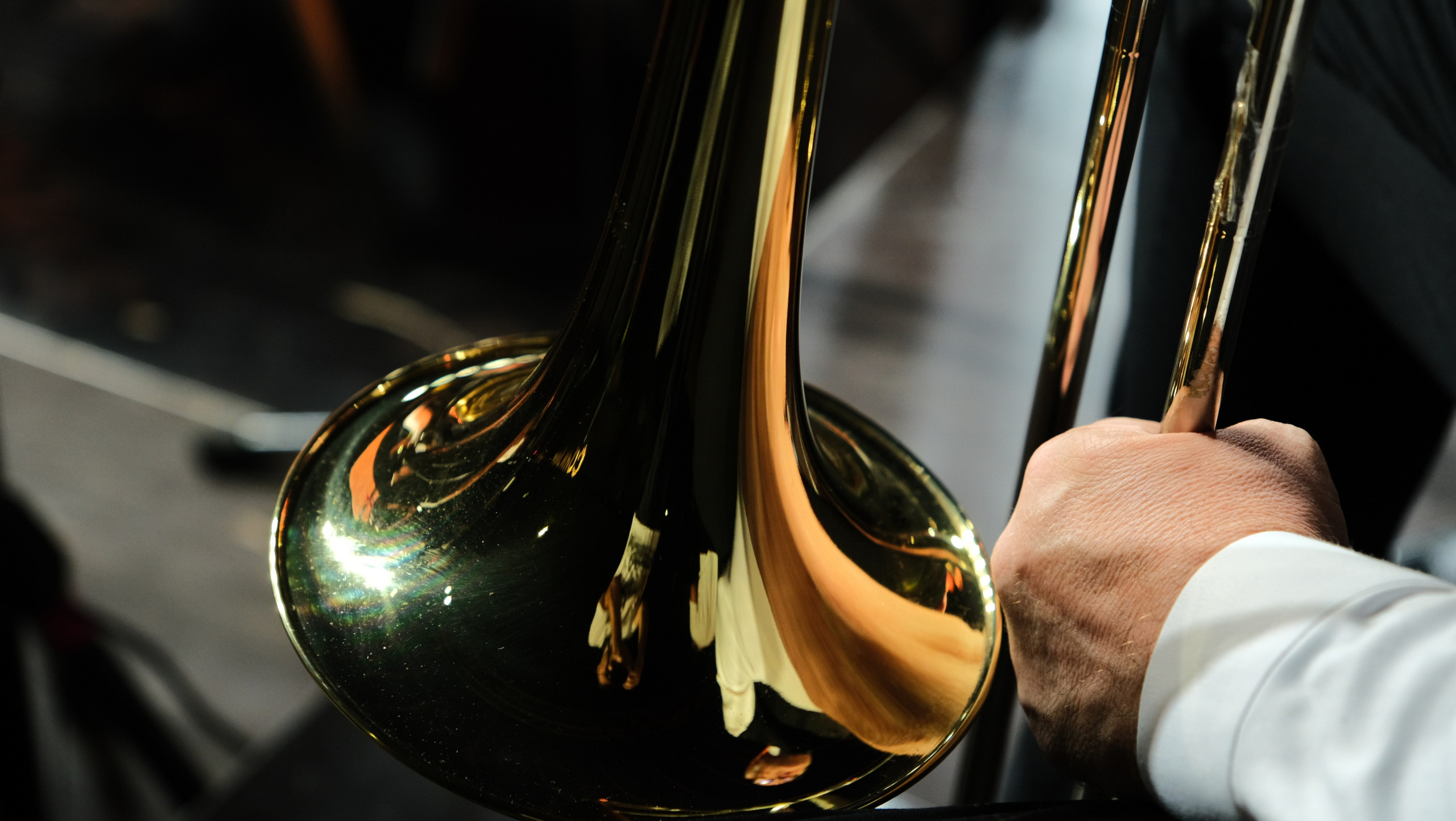 Фестиваль Джаза в Сочи. Фотограф Сочи Евгений Соколов