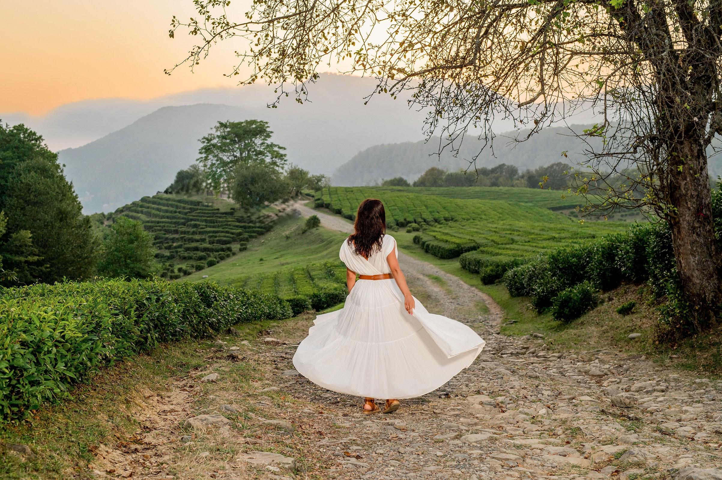 Чайные плантации фотосессия