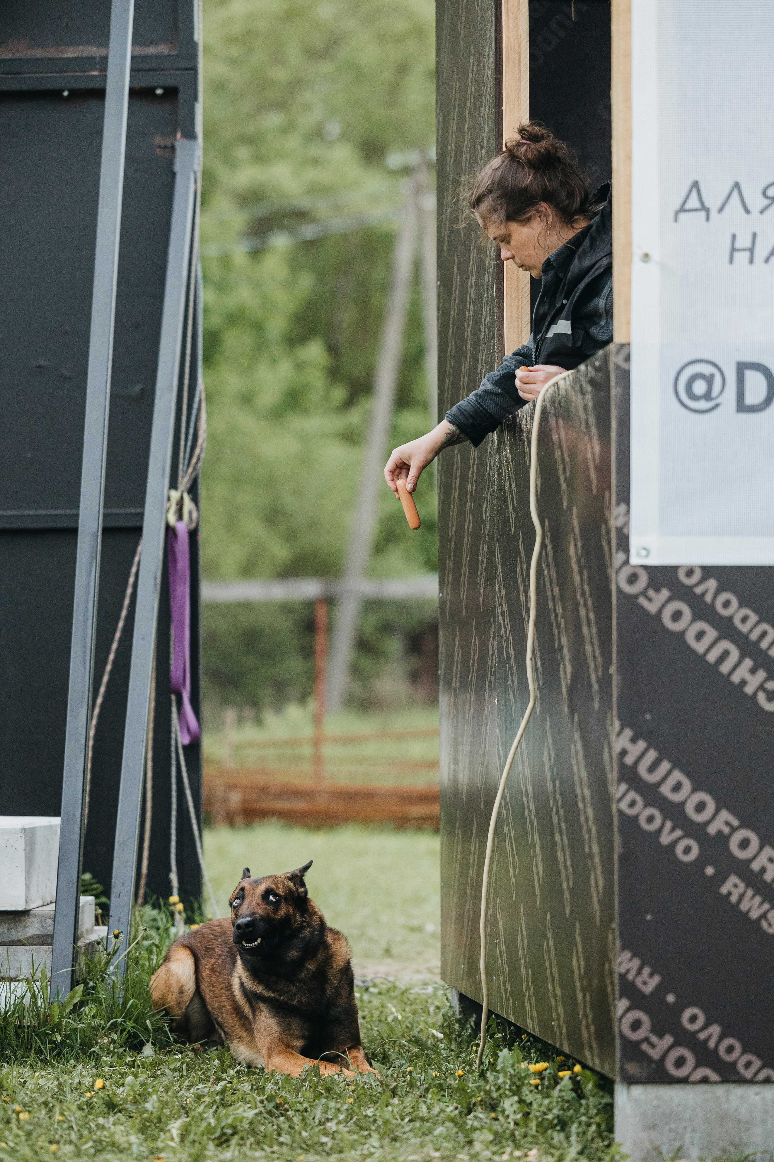 26.05.25 г. Пушкин квалификационные соревнования. Фотограф-анималист Анна Маринич