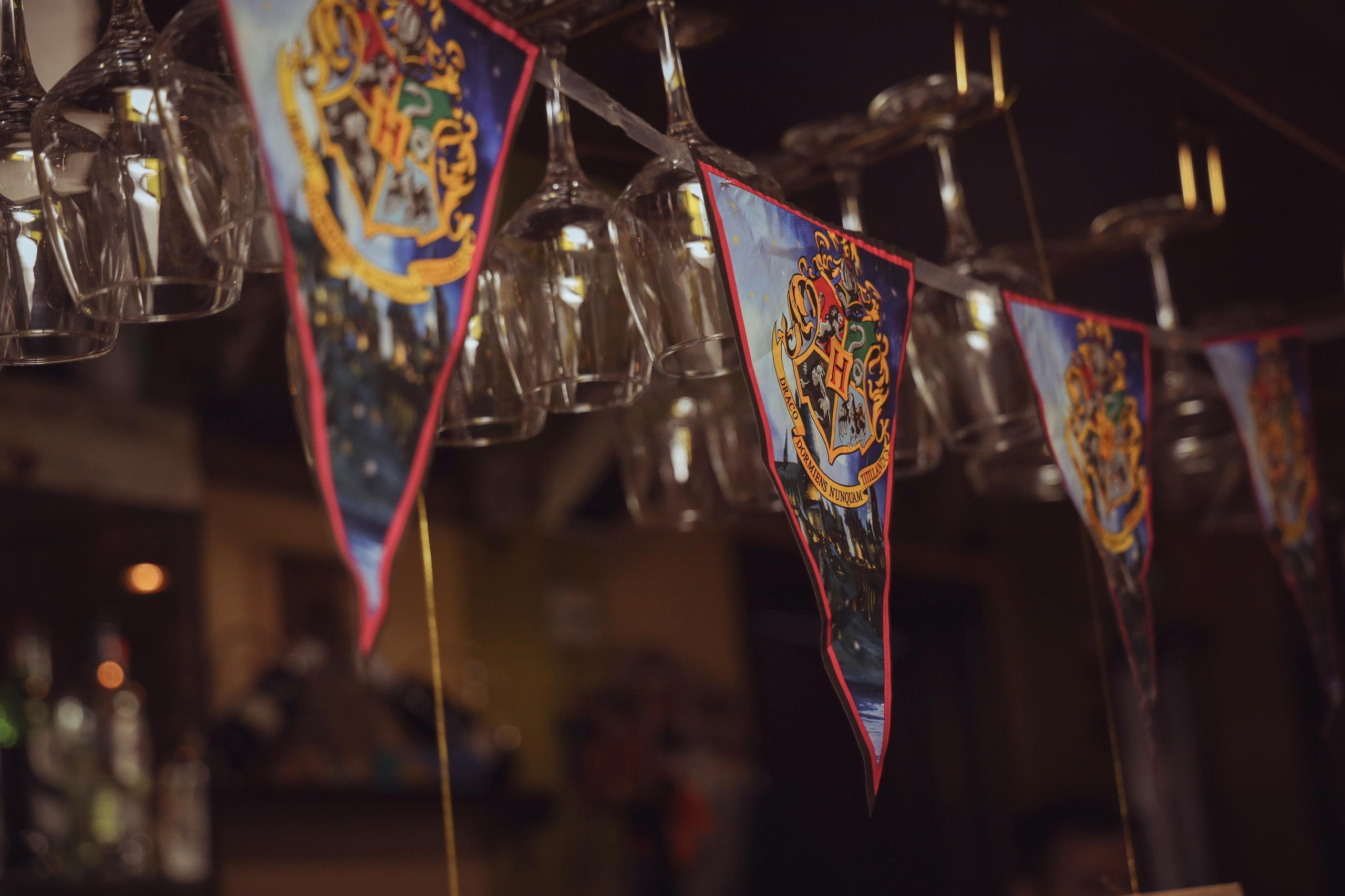A Harry Potter party. Алина Малышева, свадебный и семейный фотограф Москва