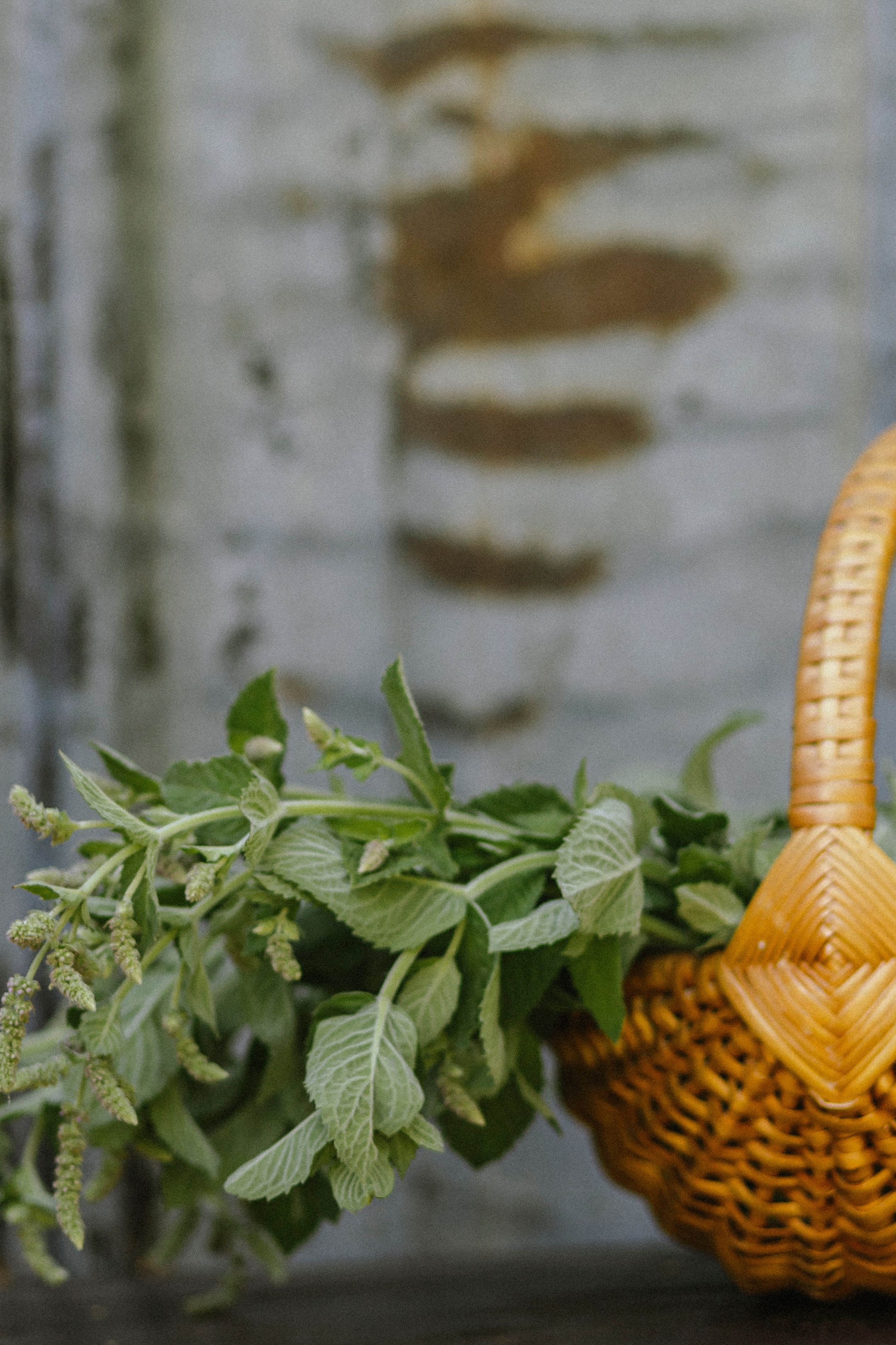 Сестры. Семейный и детский фотограф в Рязани Васюгова Мария