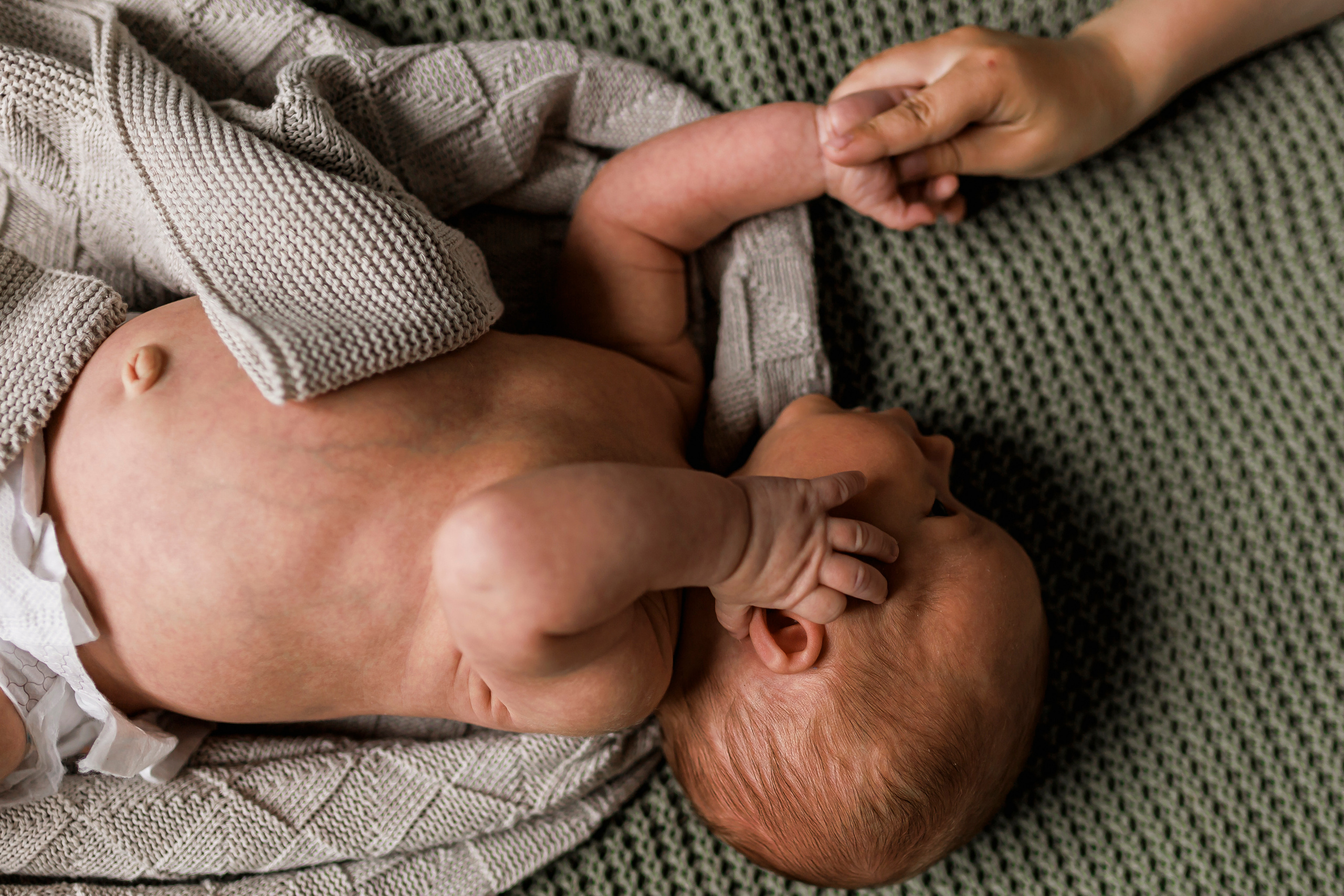Домашняя фотосессия для Милены и сыновей. Семейный и детский фотограф в Рязани Васюгова Мария