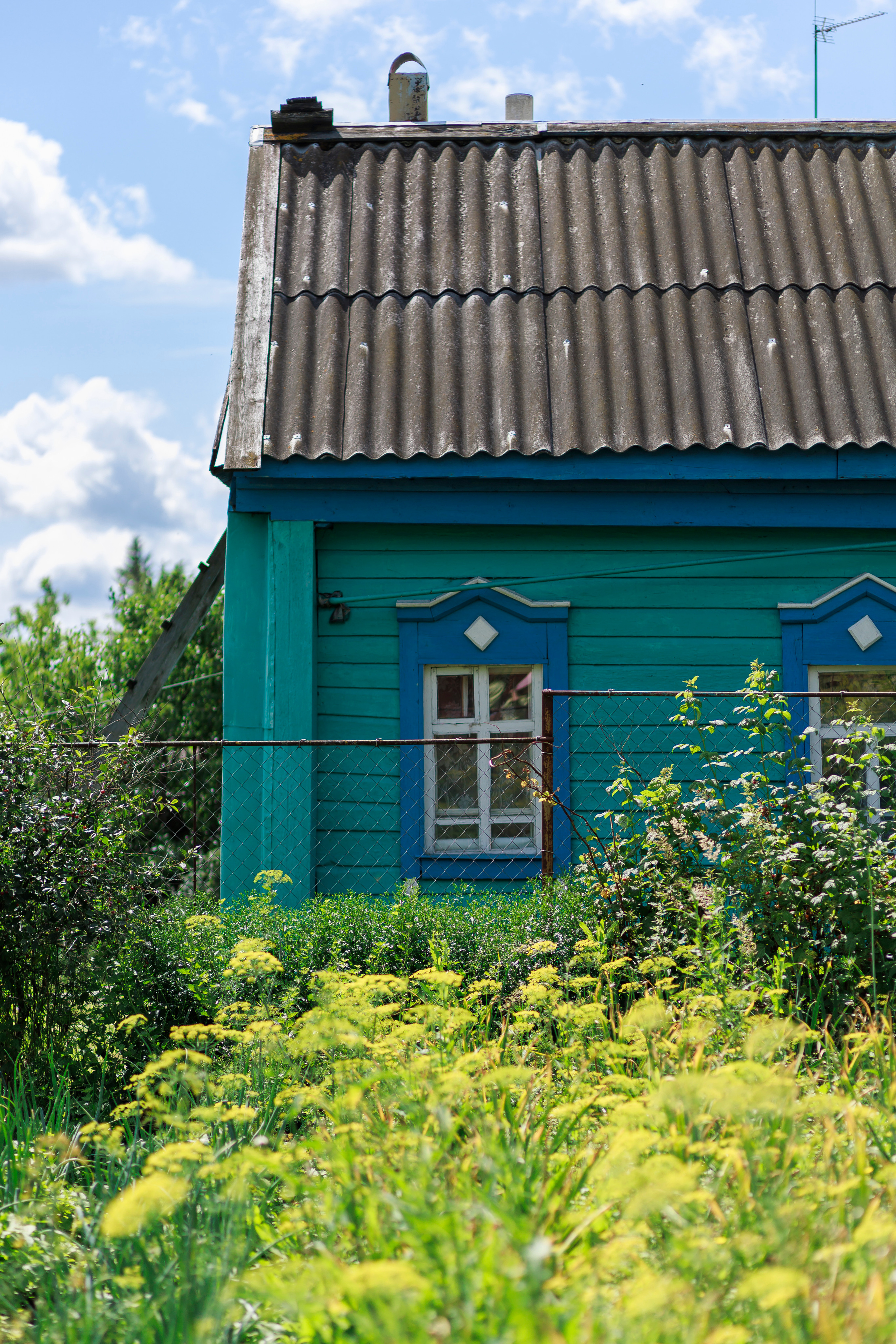 Сестры. Семейный и детский фотограф в Рязани Васюгова Мария