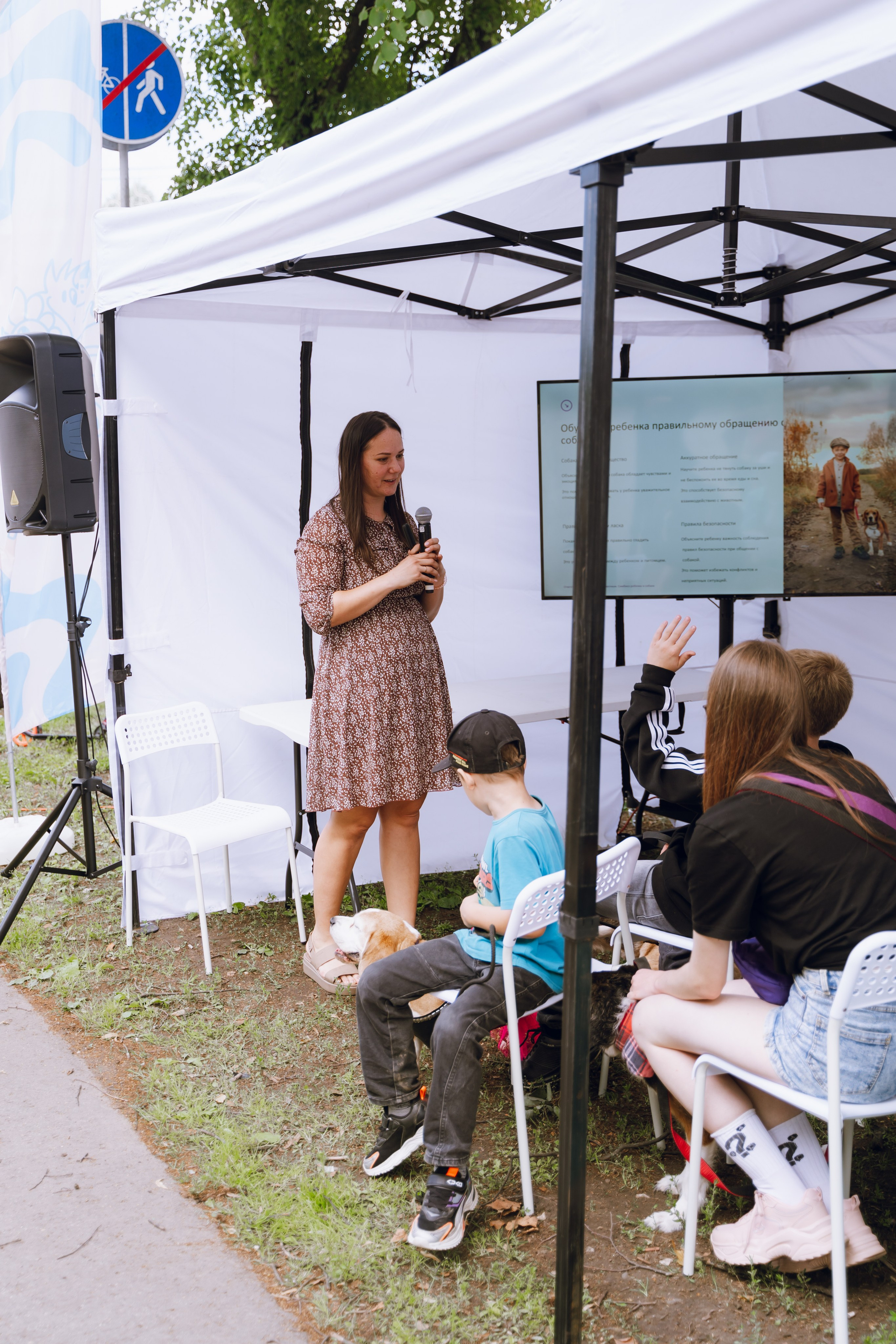 Площадка фестиваля «Мампус и его друзья» в Лесопарке 2025. Фотограф Надежда Погребняк | Рязань | Москва