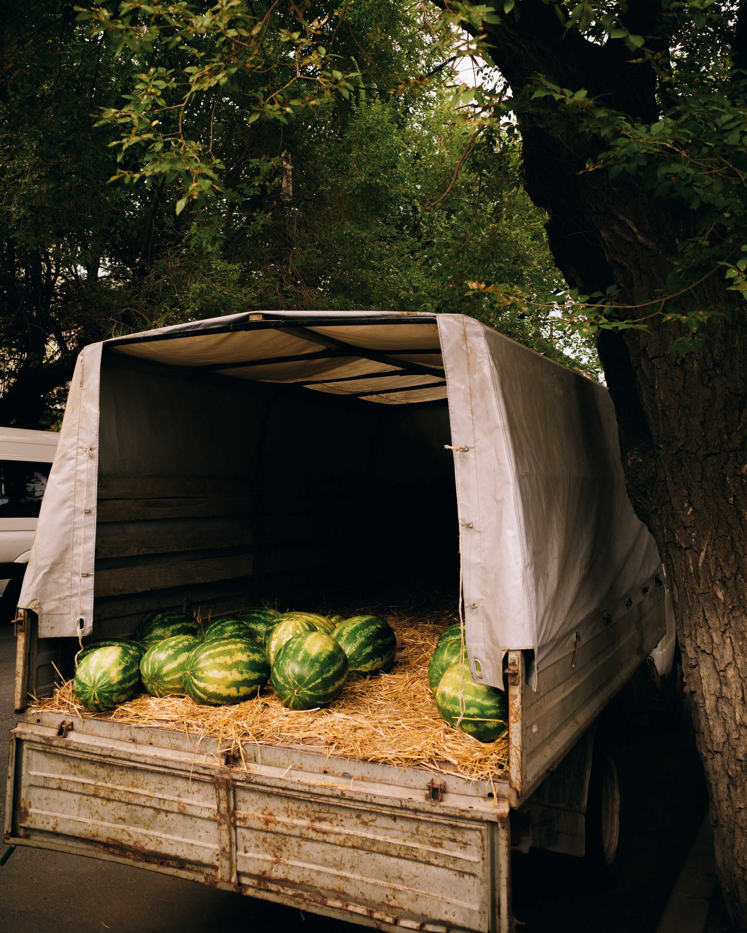 Dagestan / Yandex 360 x КУДА ГЛАЗА ГЛЯДЯТ