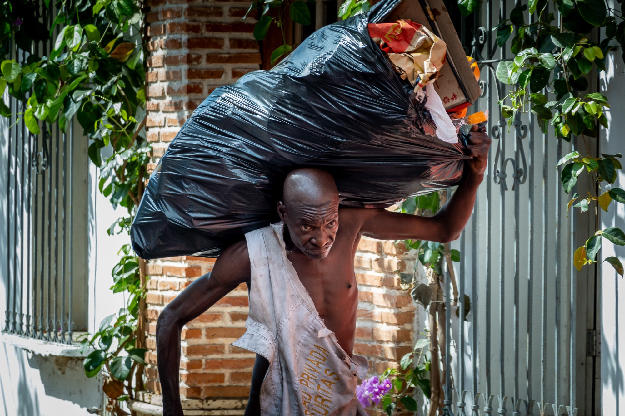 Алексей Скоробогатько, фотограф  г. Картахена, Колумбия. Alexey Skorobogatko, photographer, Cartagena, Colombia. Фотограф Алексей Скоробогатько
