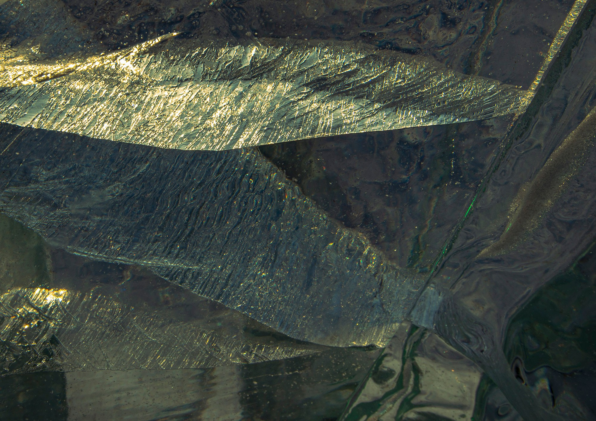 «Мы здесь». Фотограф Переверзева Наталья / Ханты-Мансийск