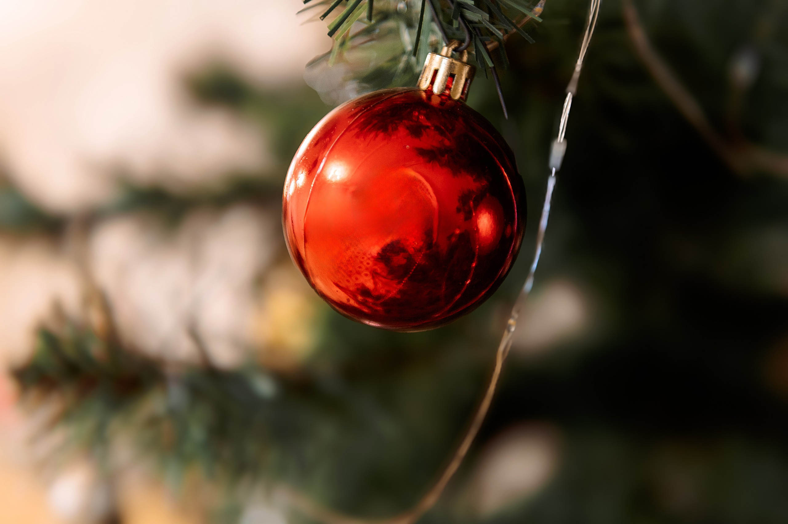 ОТЗЫВЫ. Семейный, свадебный, школьный фотограф в Железногорске Целуев Андрей