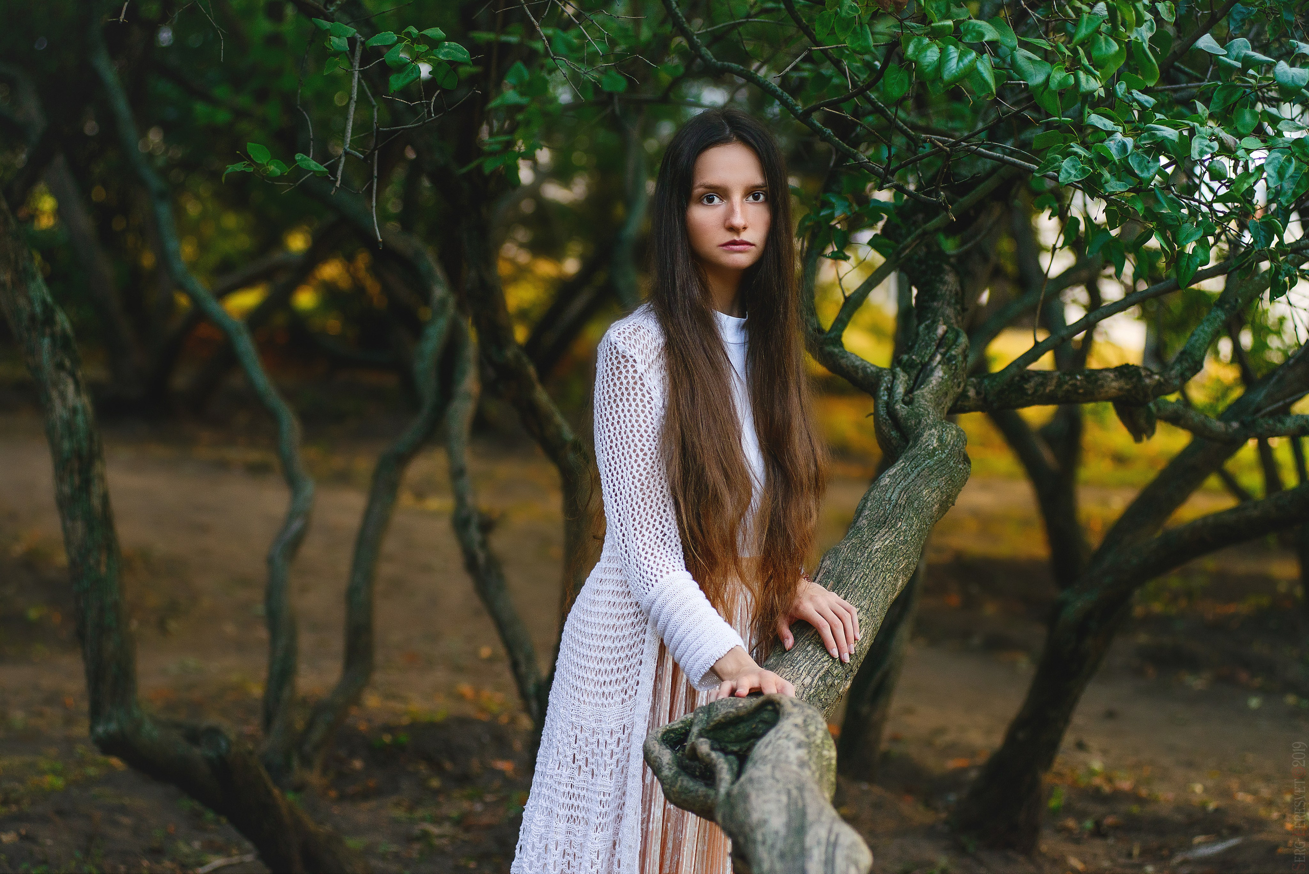 Фотосессия для девушек на природе в Москве - фотограф Сергей Пересвет. Ваш фотограф на праздник в Москве, Раменском, Жуковском, Люберцах