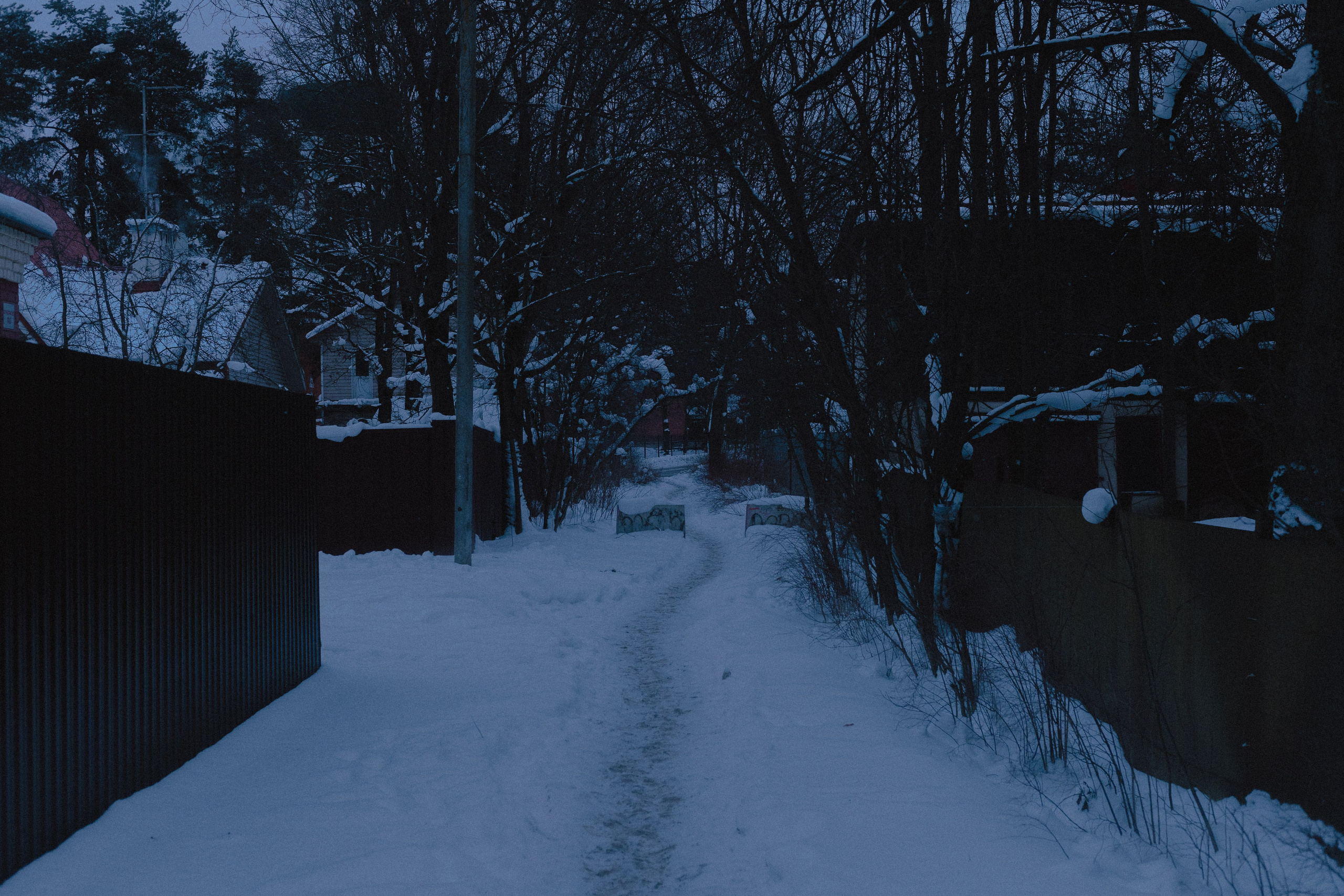 № 24. WAYHAY — Портретный фотограф