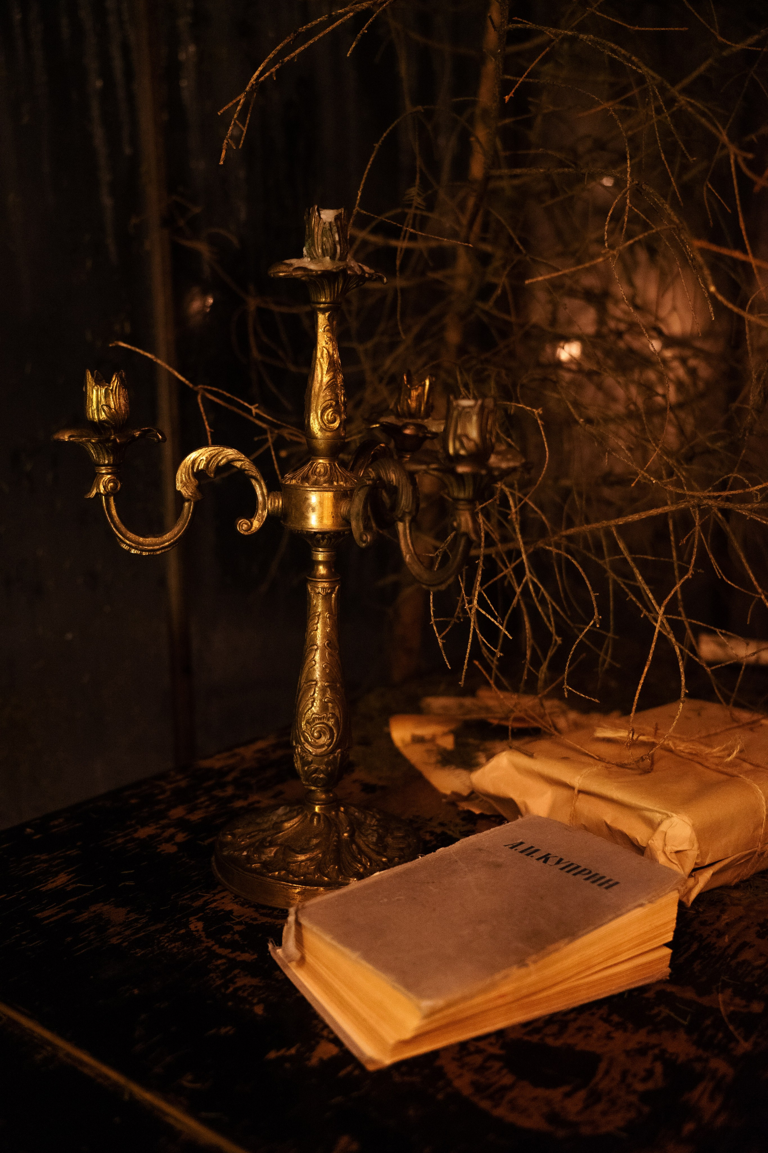 Отзывы. Катерина Мельникова | Репортажный и портретный фотограф | Москва и Химки