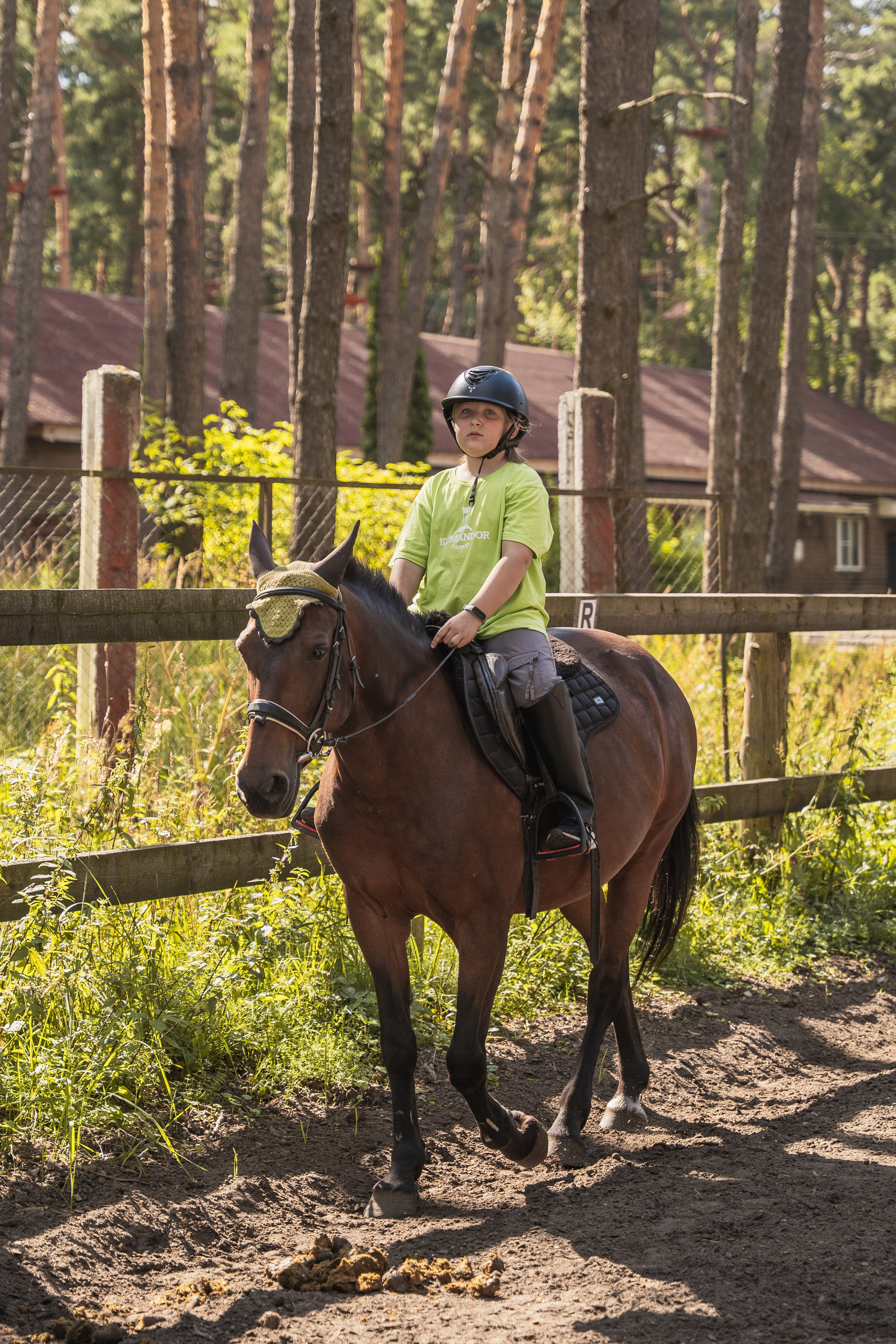 Конное занятие. Главная