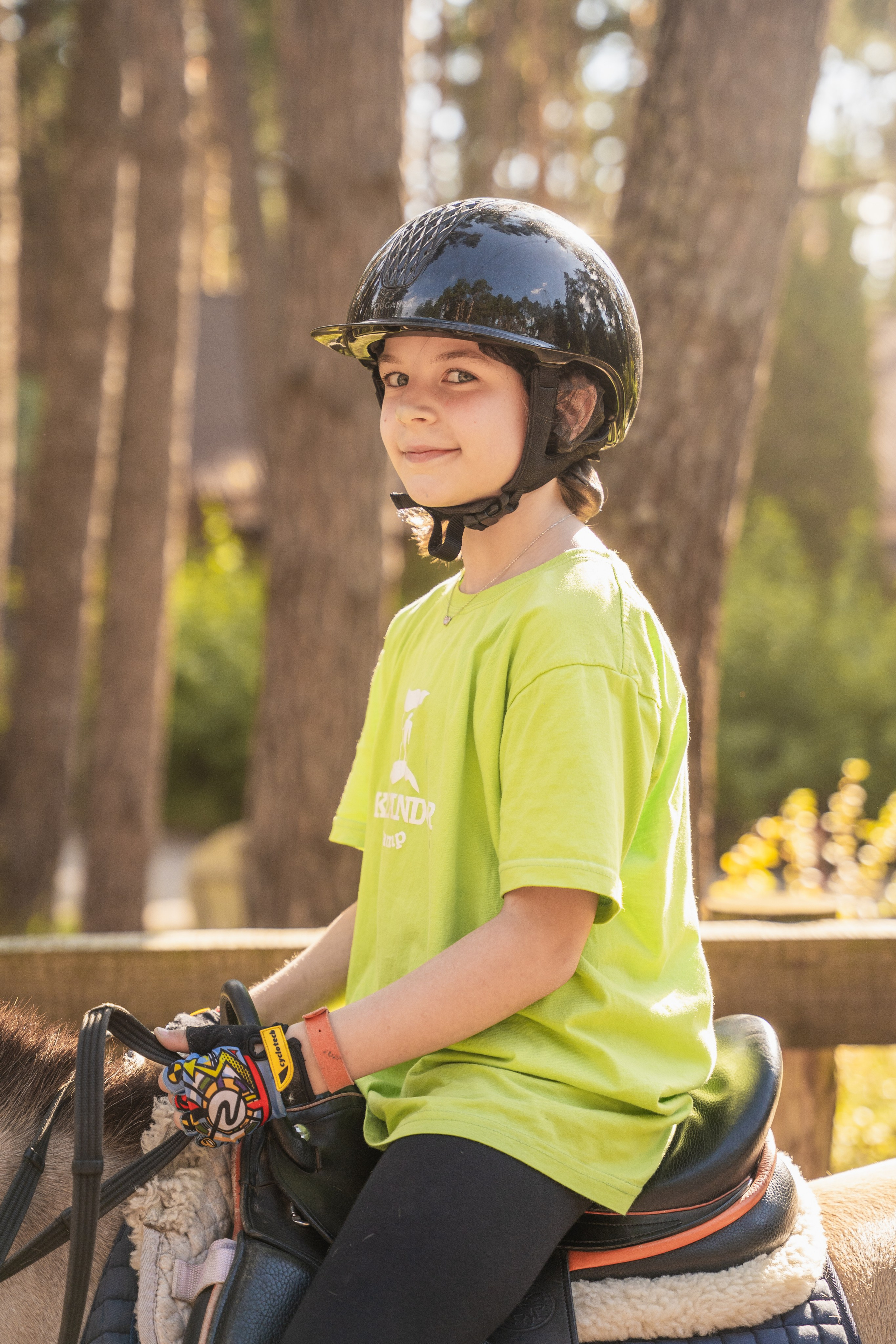 Конное занятие. Главная