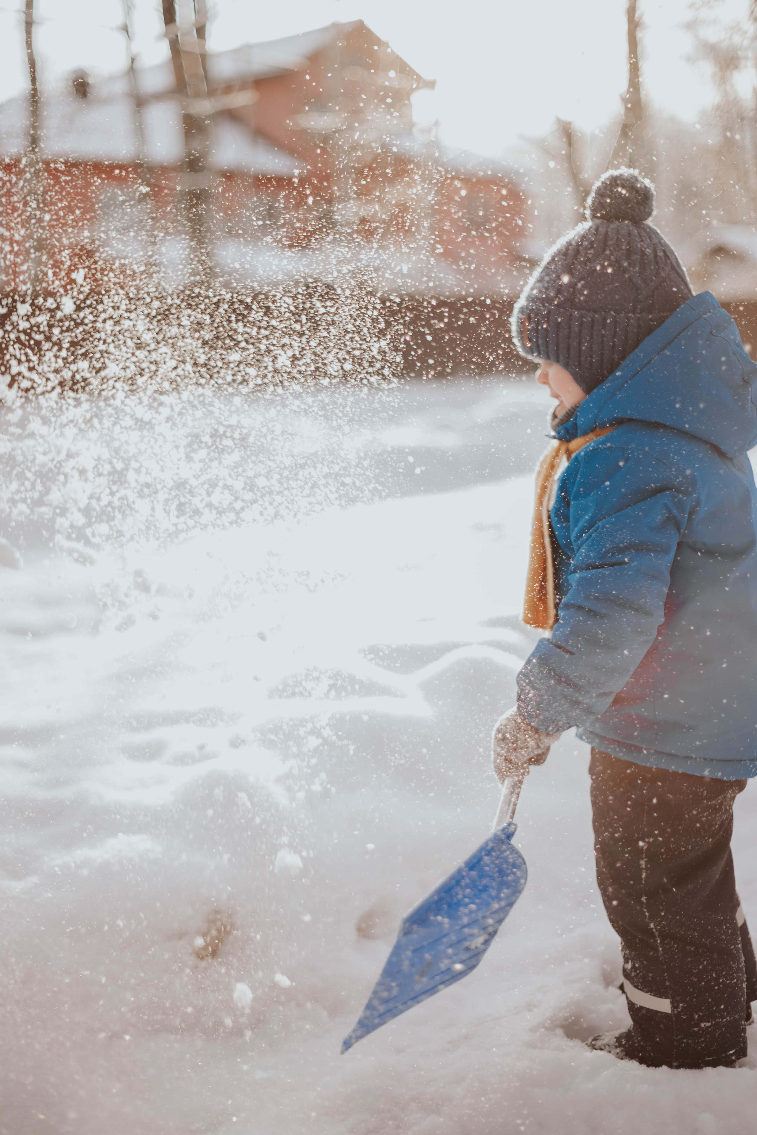 Зимняя прогулка