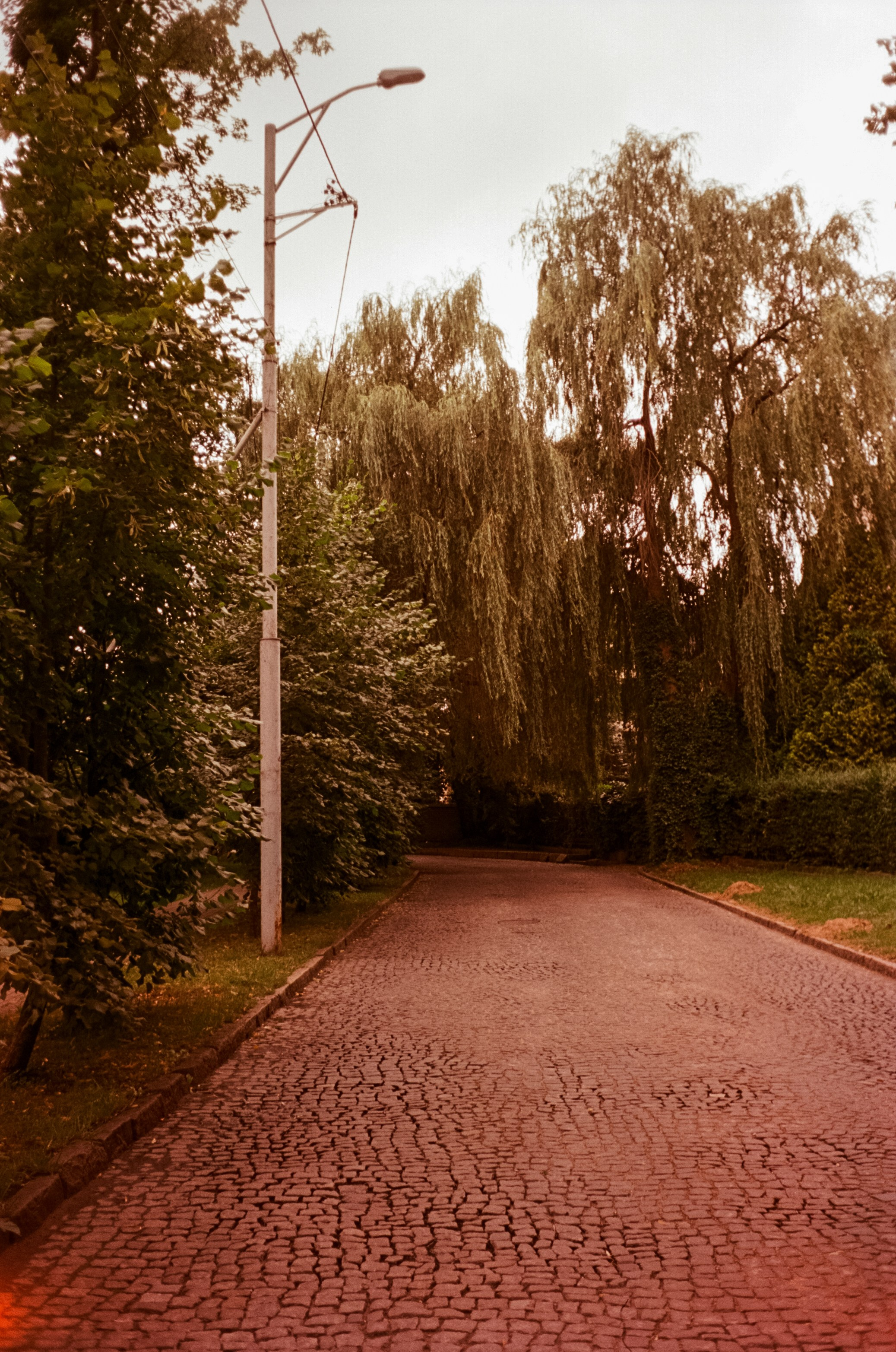 12–13 июля Калининград / Minox 35 GT (2) / Kodak Aeronega 100 (Kodak Aerocolor IV)