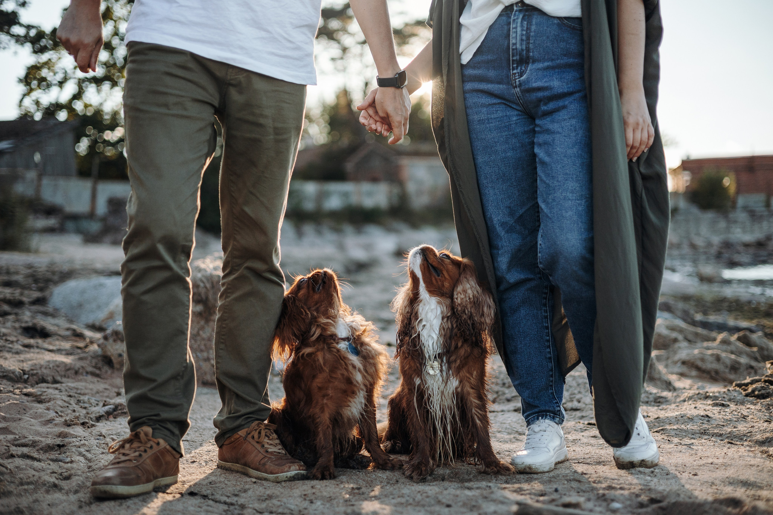 Верон, Гарри и их семья. Фотограф — Анималист | Санкт-Петербург