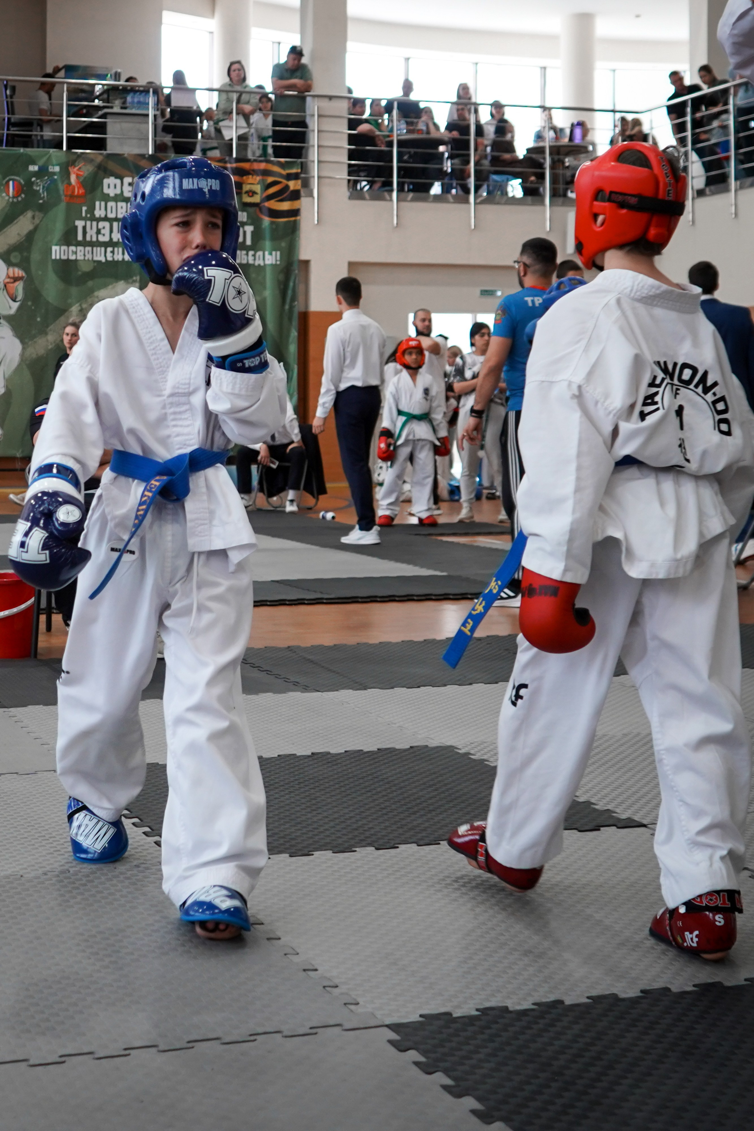 Тхэквандо — соревнования. Выпускные альбомы Натальи Бутко: Новороссийск, Анапа, Геленджик