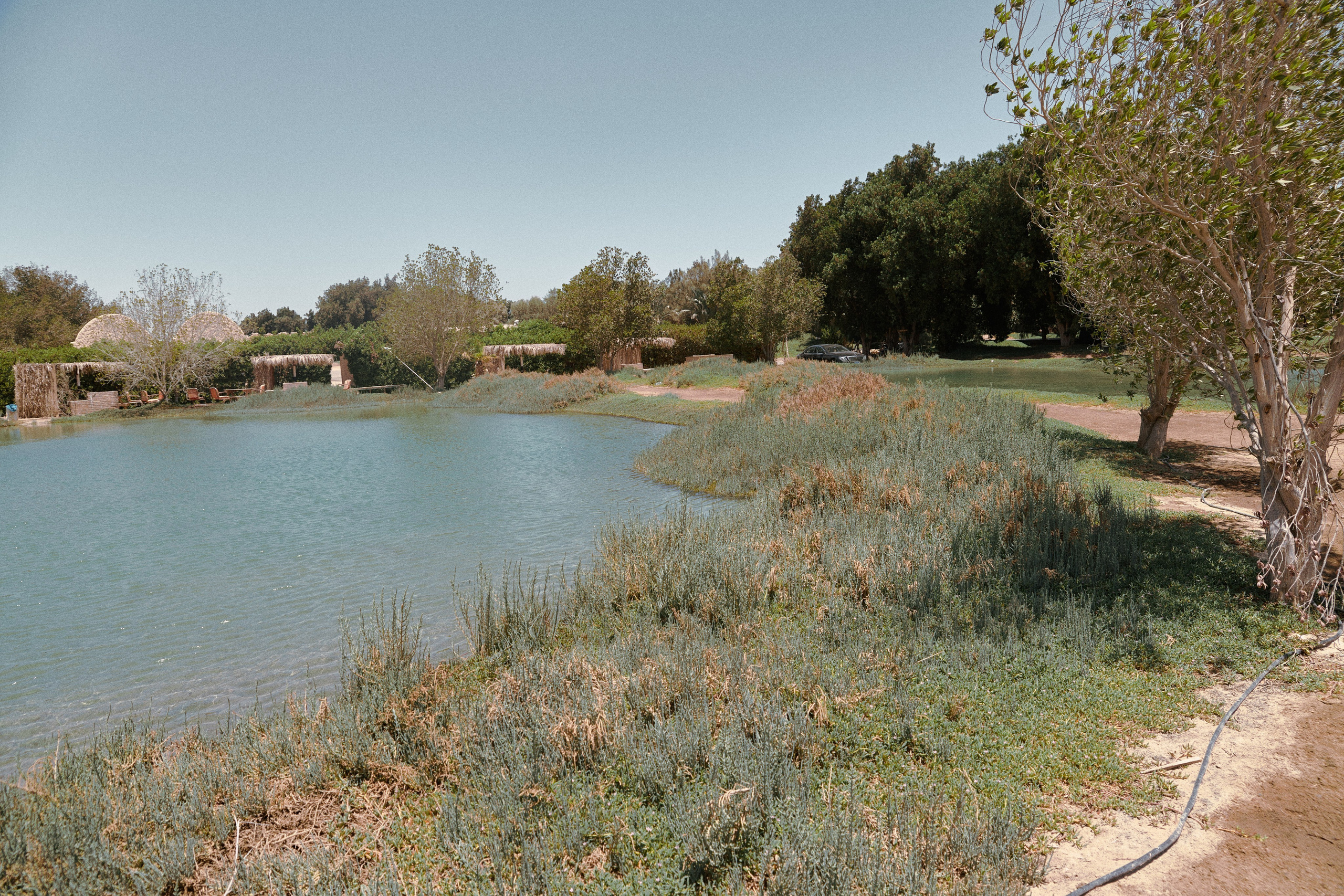 Эль-Гуна — рыбная ферма. Jorgis — фотограф в Хургаде / обучение фотографии