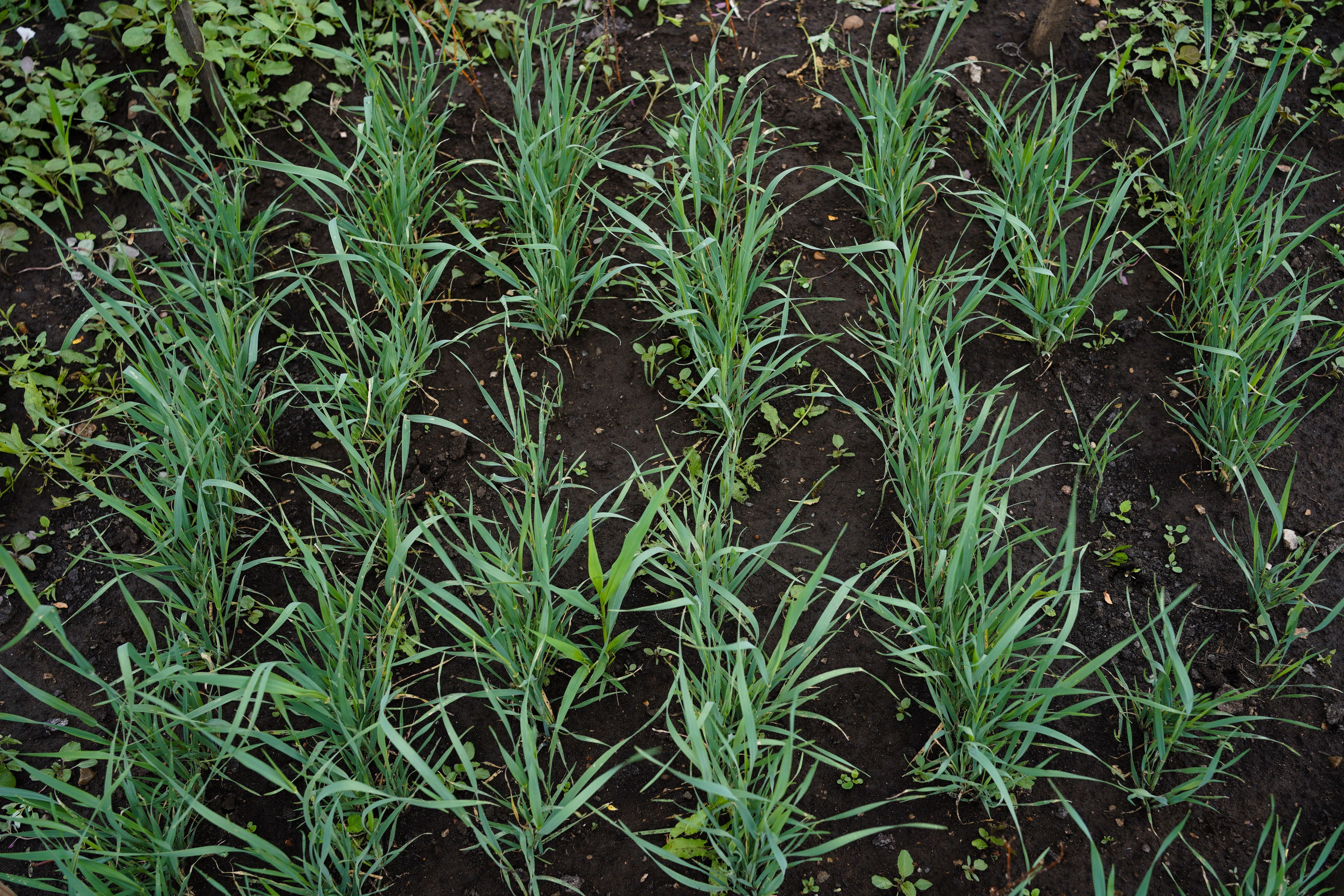 1 квадратный метр земли. Margarita Khatmullina