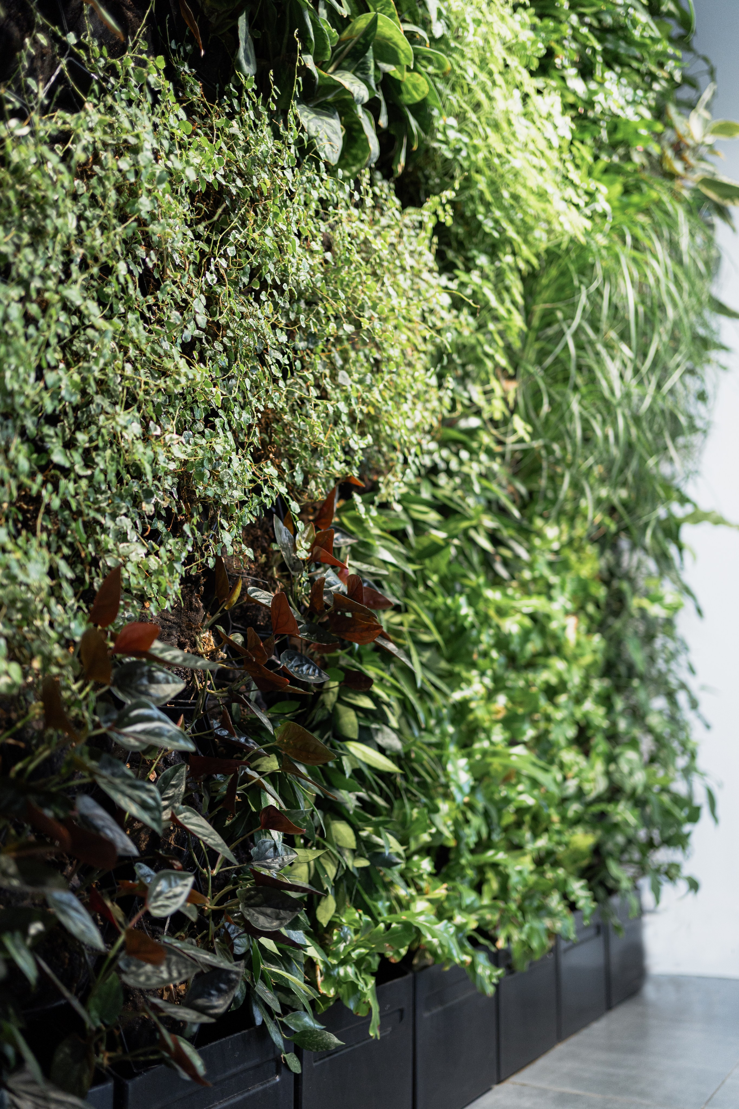 Terra. Елена Пашкевич, фотограф, Москва