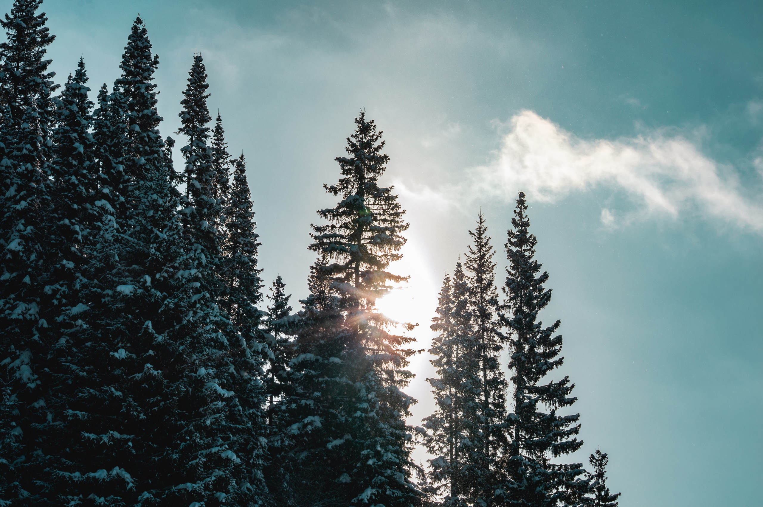 Эстетика еб{деревней}й. Место {не}банальных фото