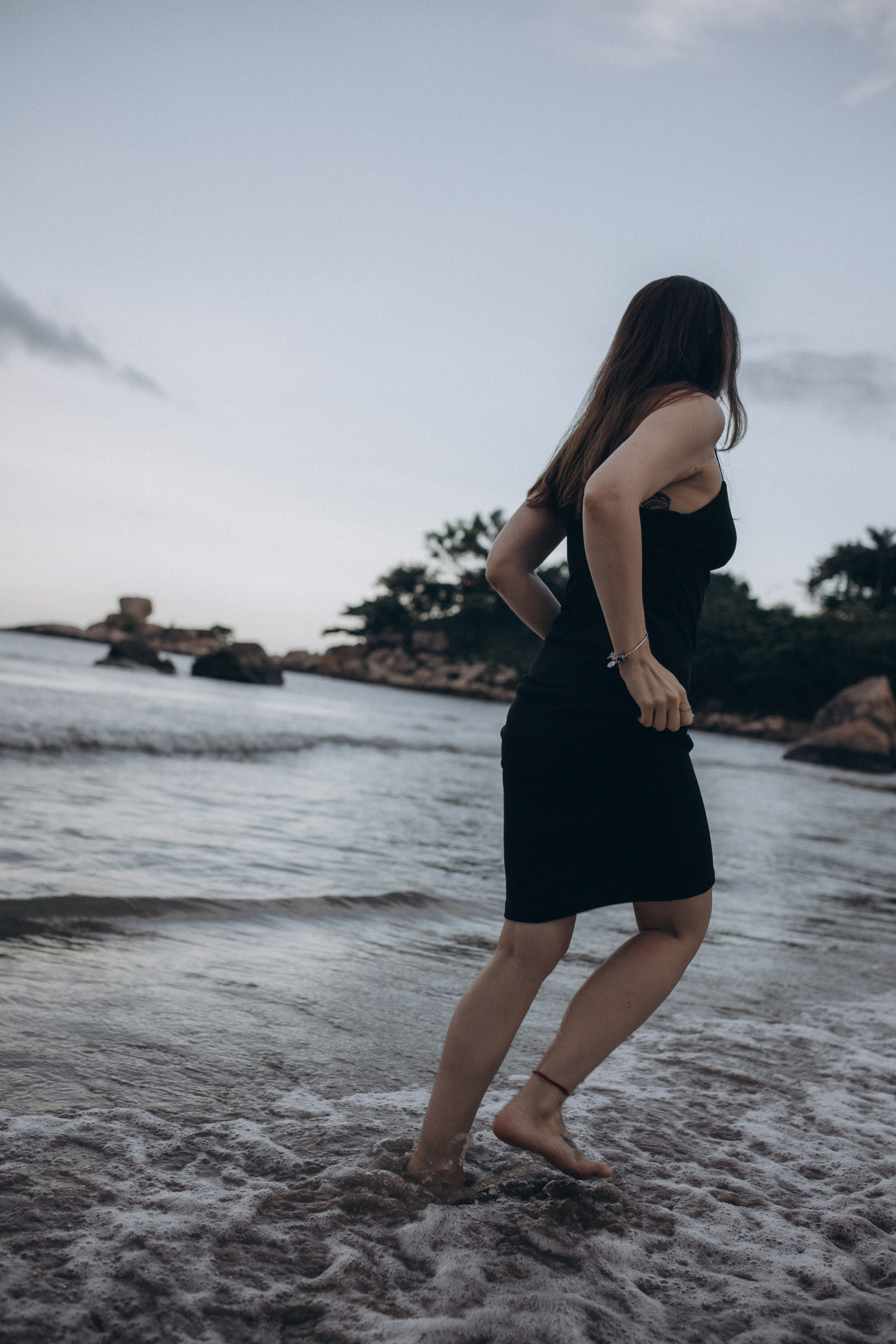 Лилия «сад камней» Вьетнам. Главная