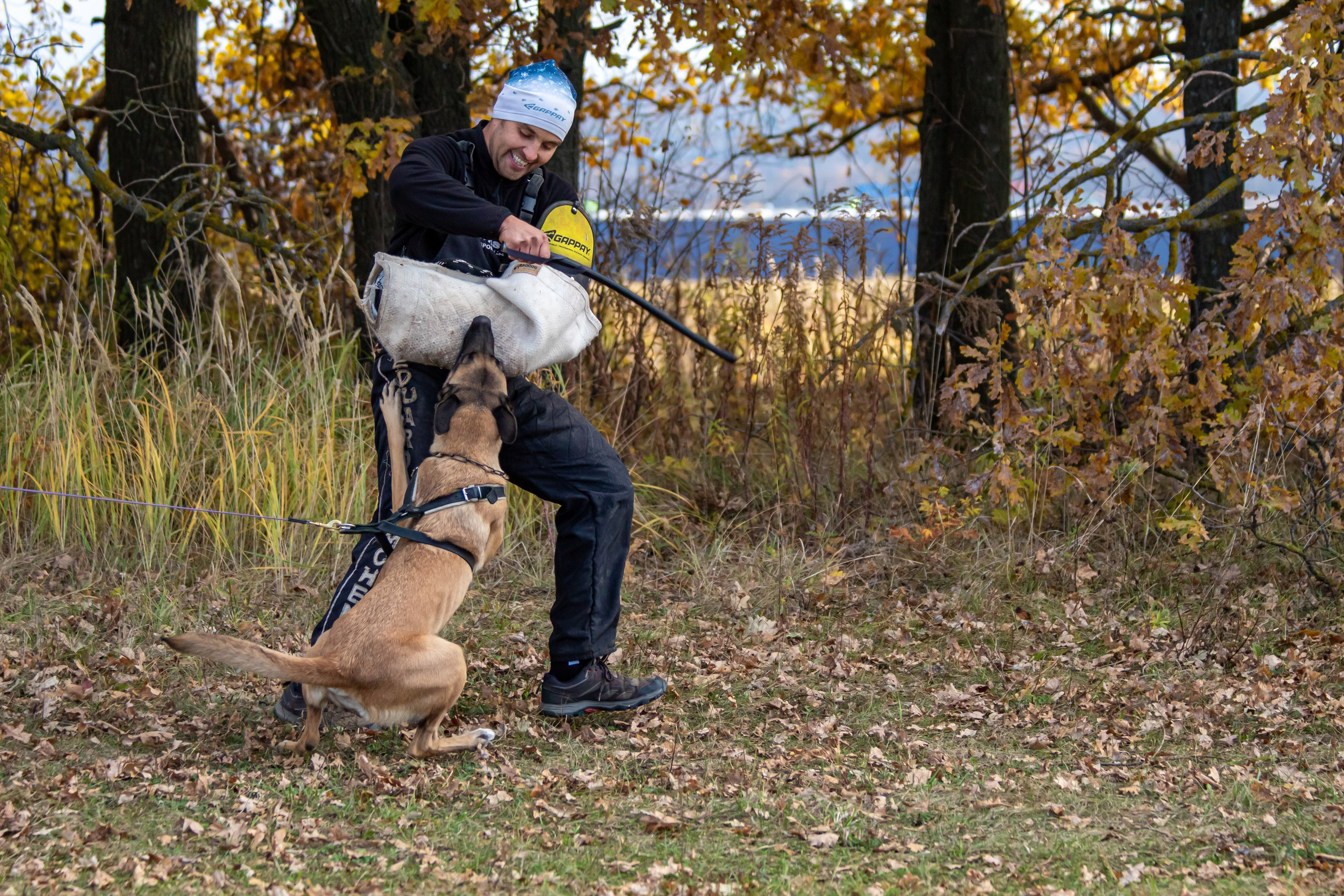 Тренинг защитного раздела. Фотограф анималист — Тула, Москва