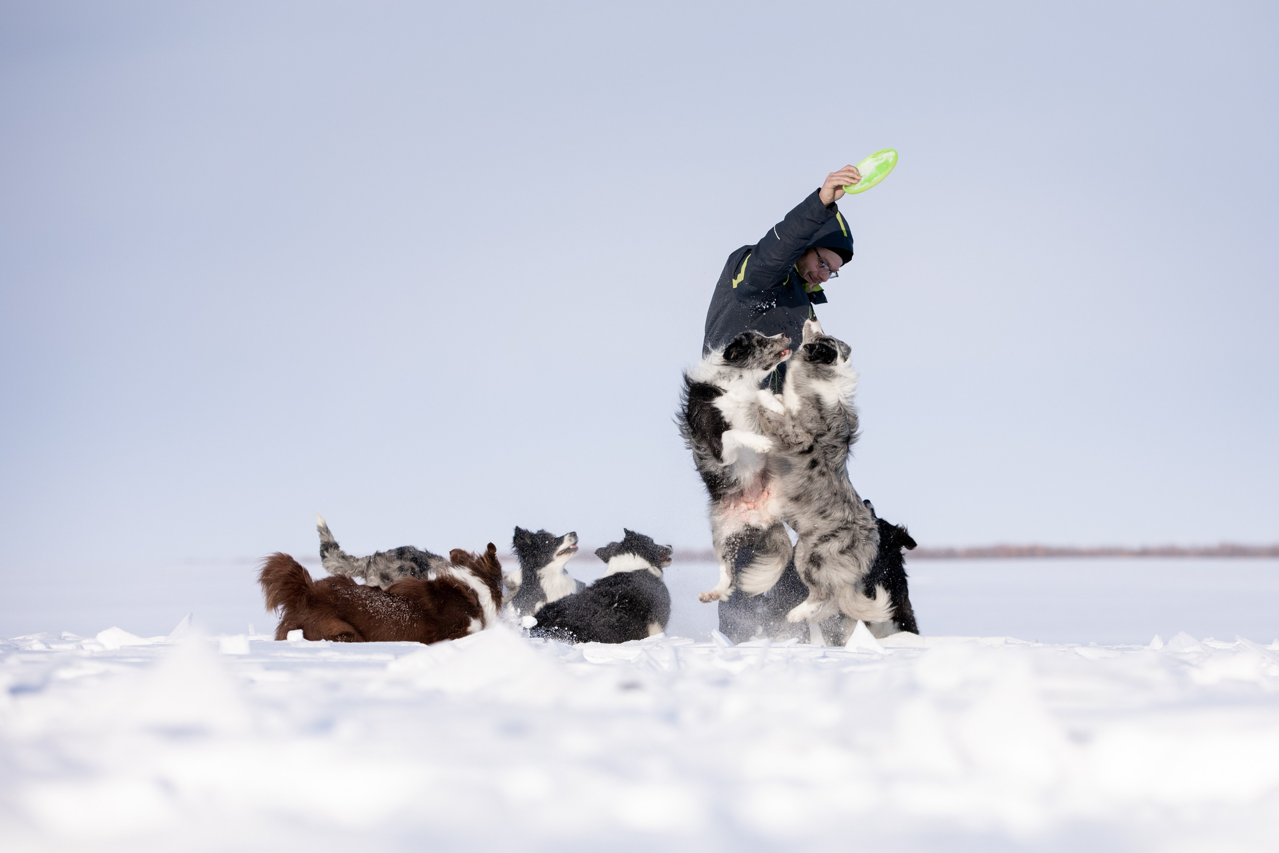 Мороз и солнце. О нас