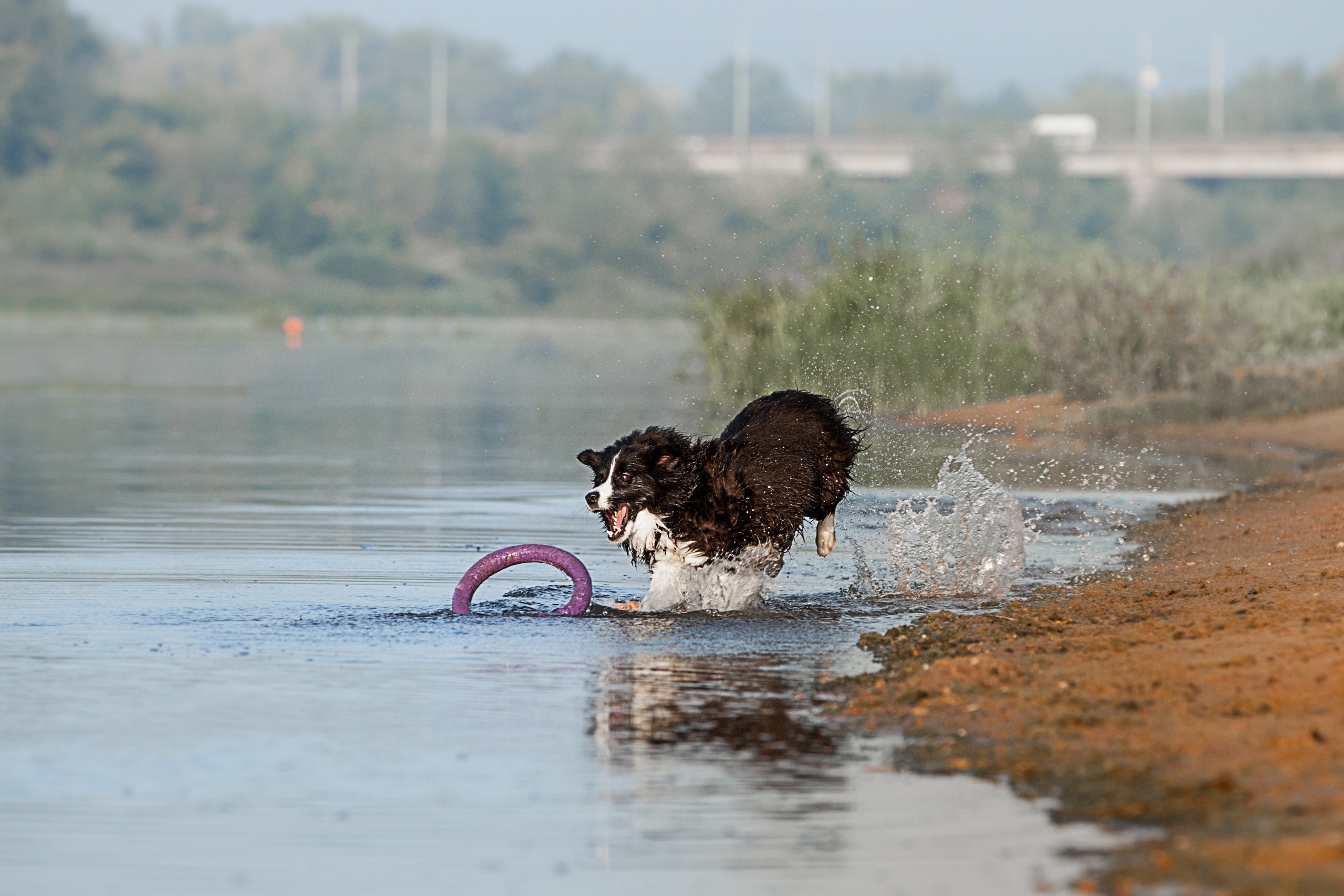Сочный рассвет, на который решились. О нас