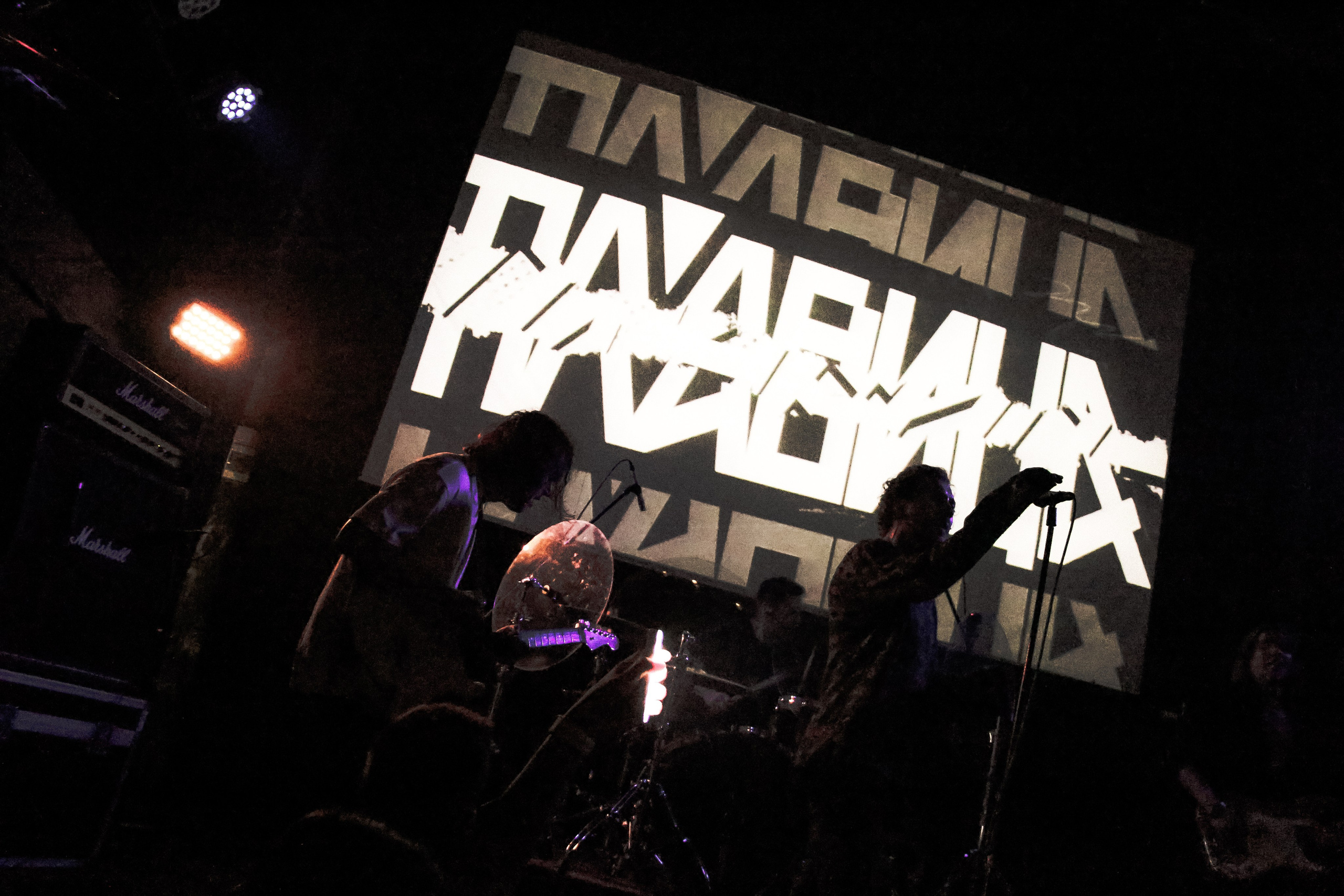 ПЛАВИЦА | ЛАСТОЧКА. Фотограф из Петербурга Софи Веритас Концерты и портреты