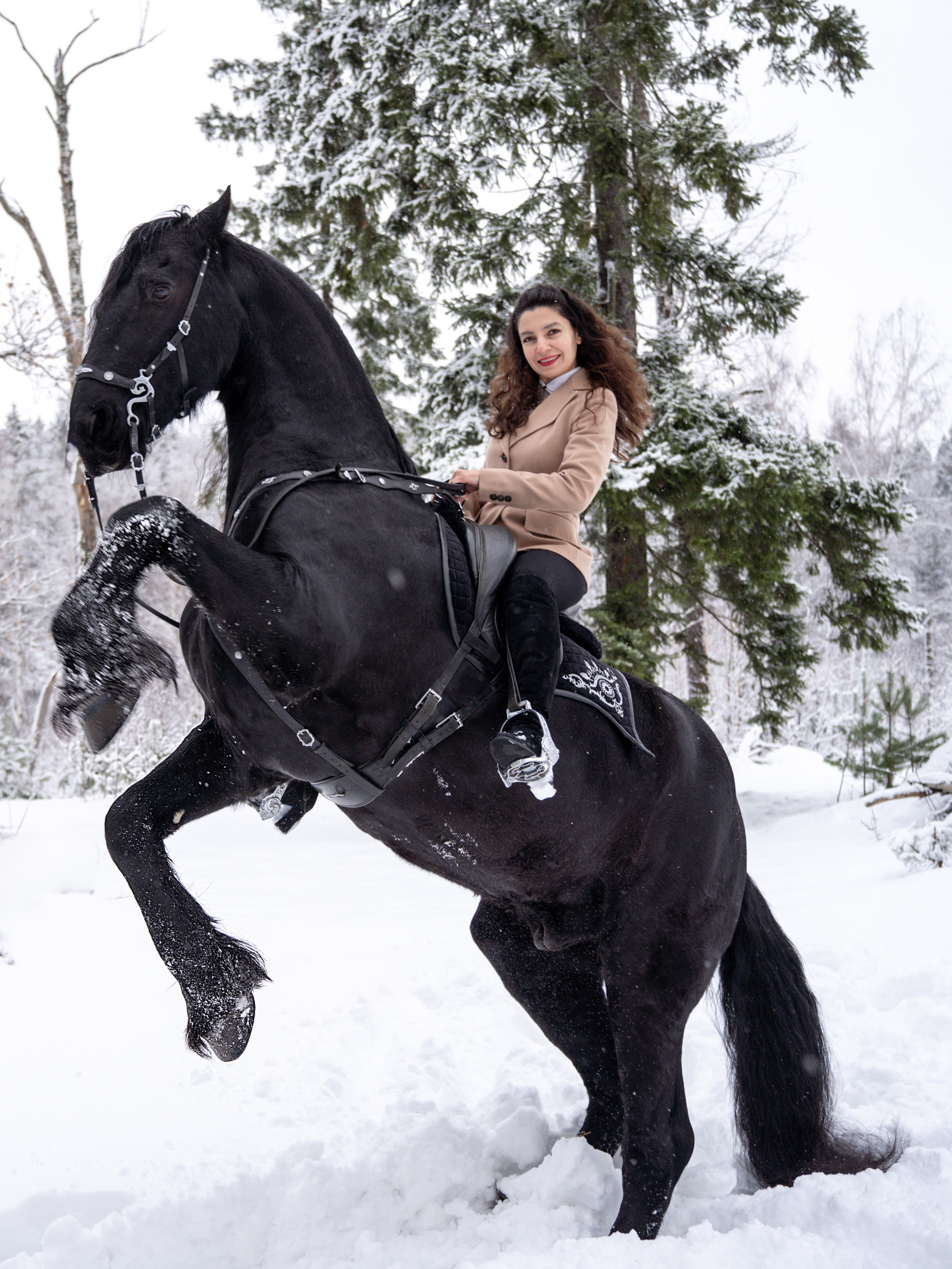 Лошадки зима. Фотограф Зинаида Евдокимова